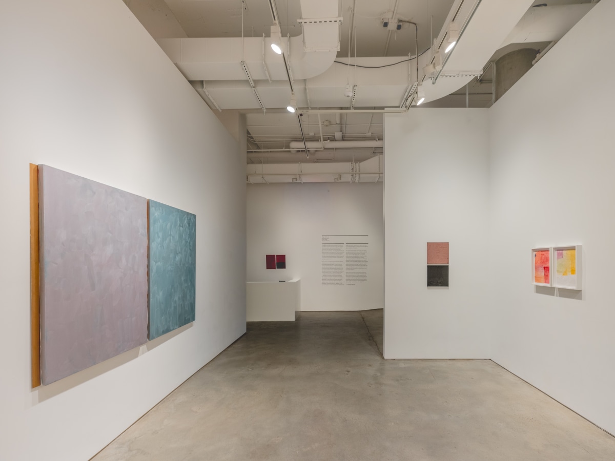 Sérgio Sister & Karin Lambrecht, Color Climax at Nara Roesler, photo 8