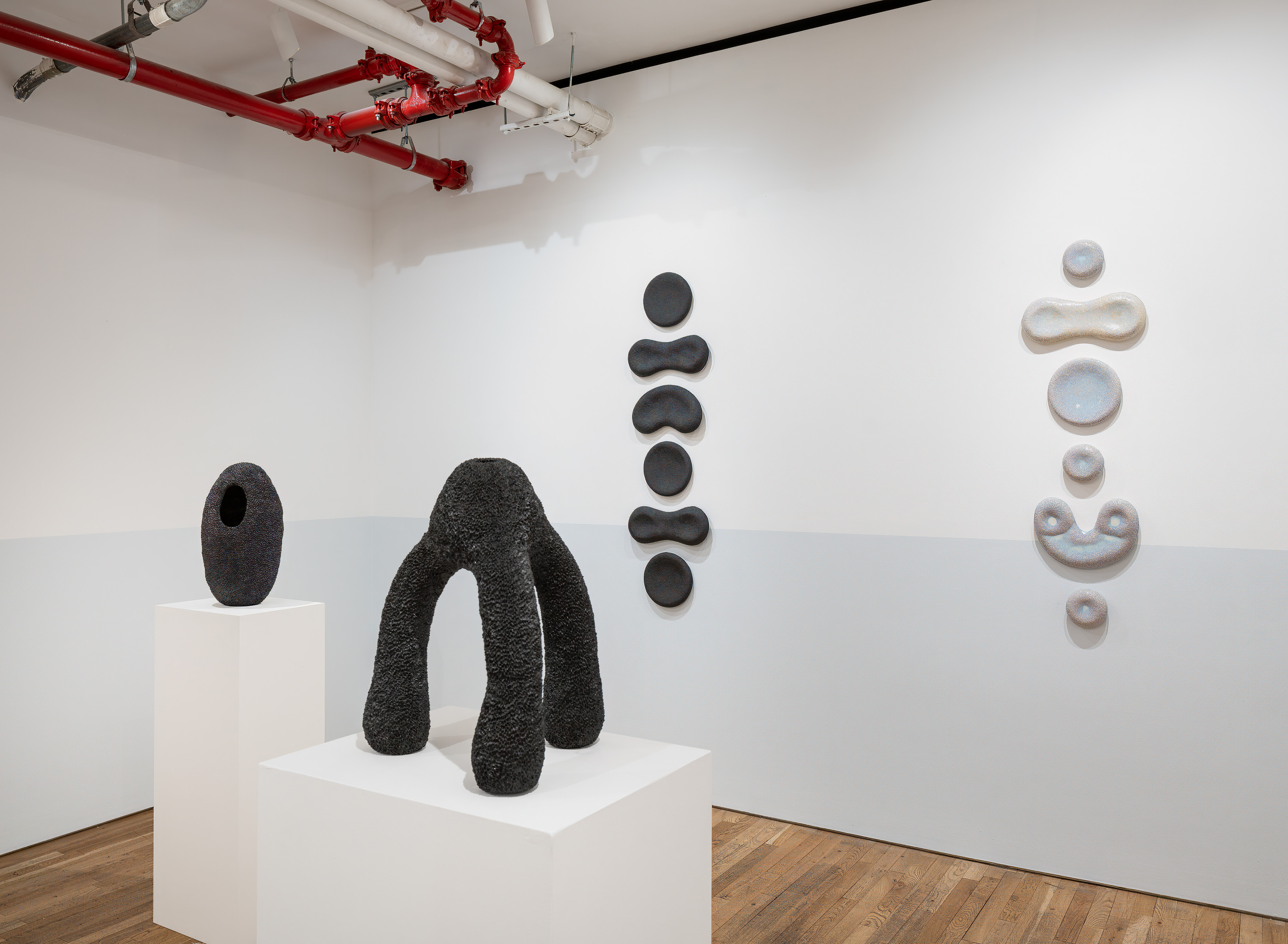 Lana Kova, Further Away at Jane Lombard Gallery, photo 2