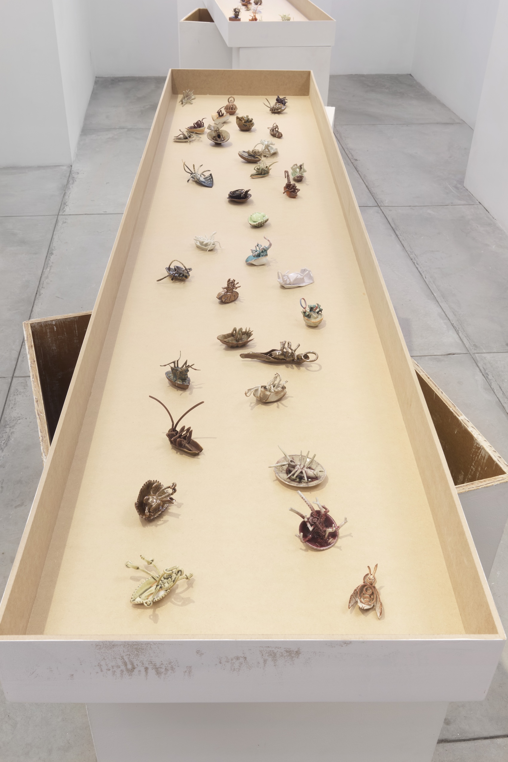 Yage Wang, image 2 of 15