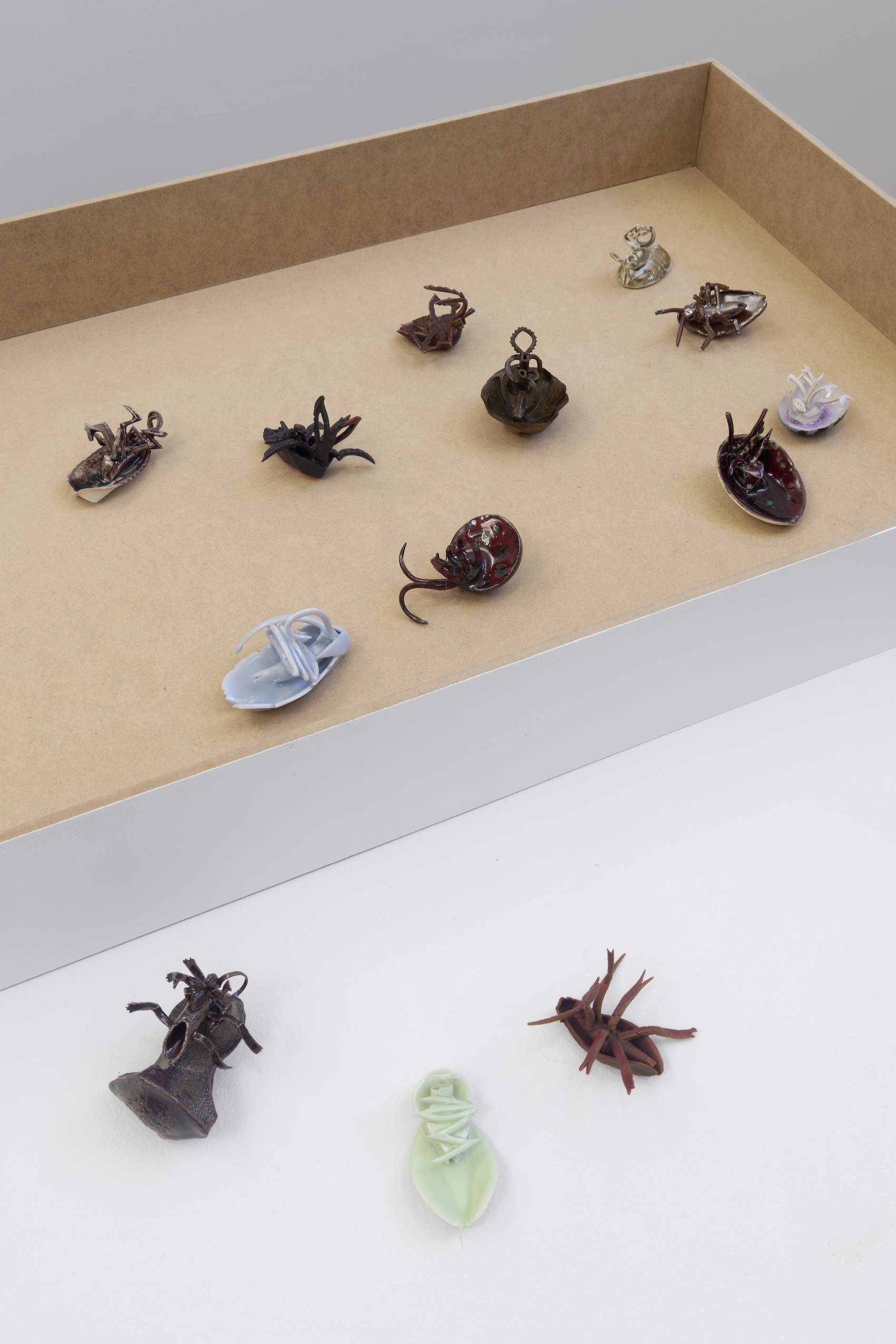 Yage Wang, image 11 of 15