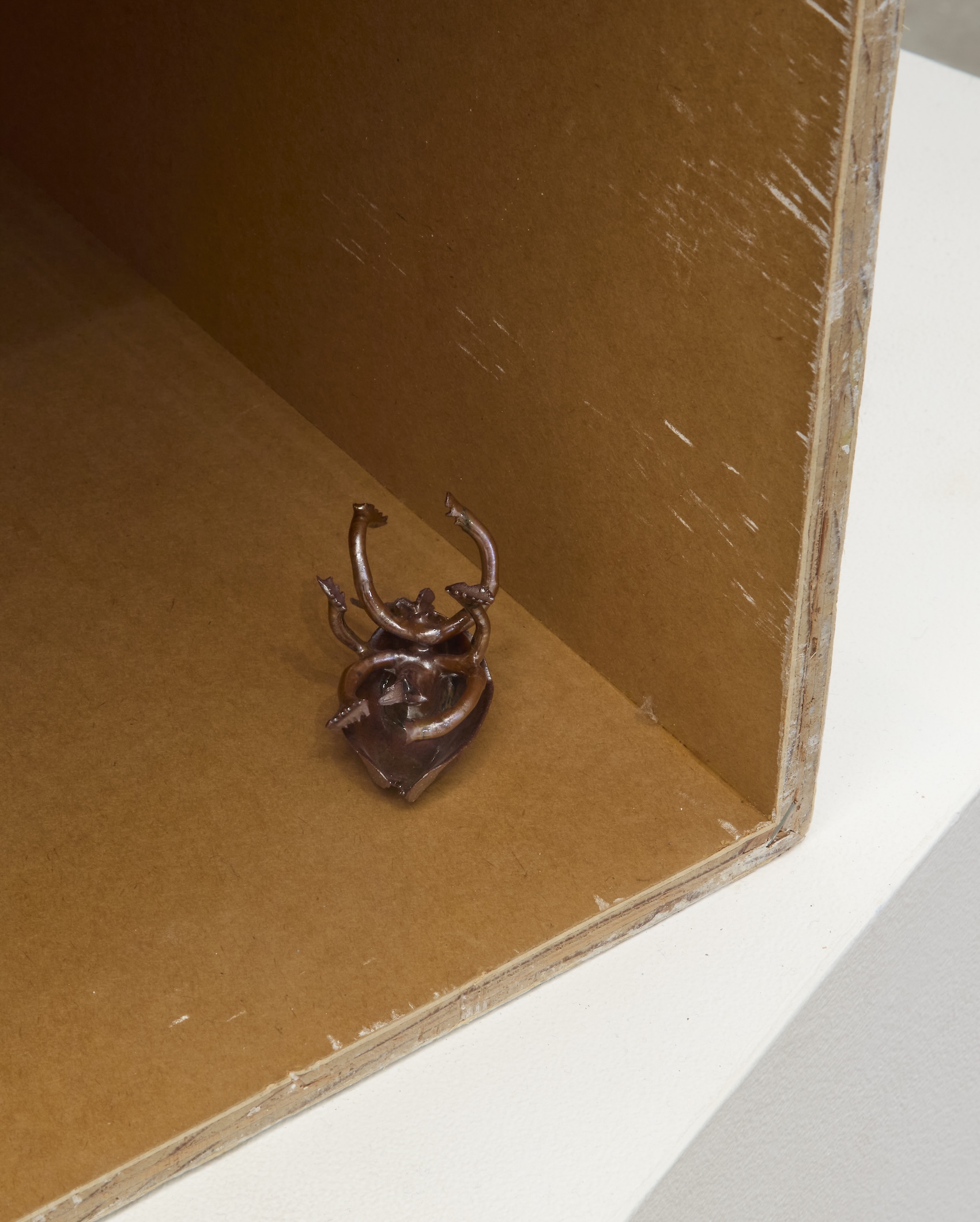 Yage Wang, image 14 of 15