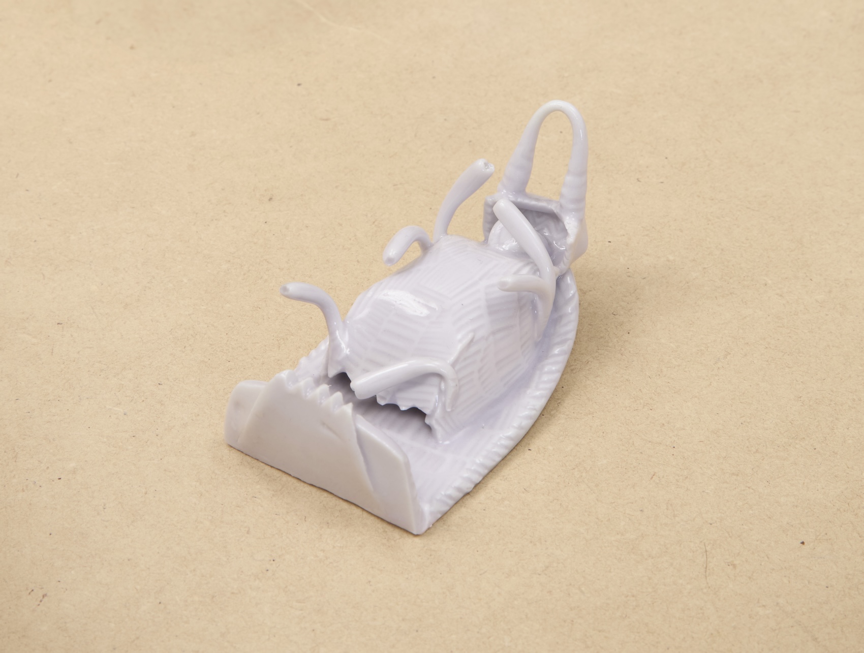 Yage Wang, image 5 of 15