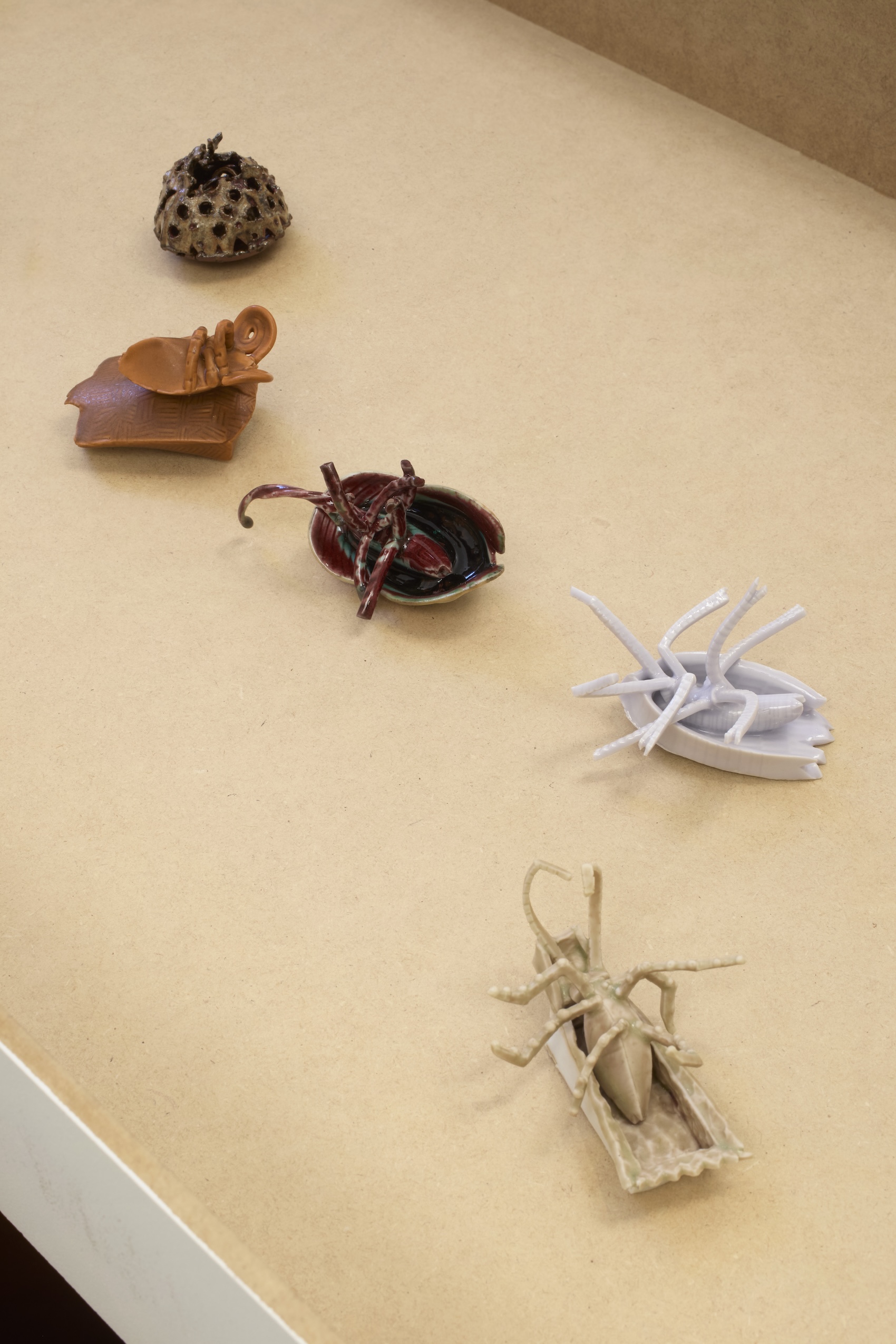 Yage Wang, image 9 of 15