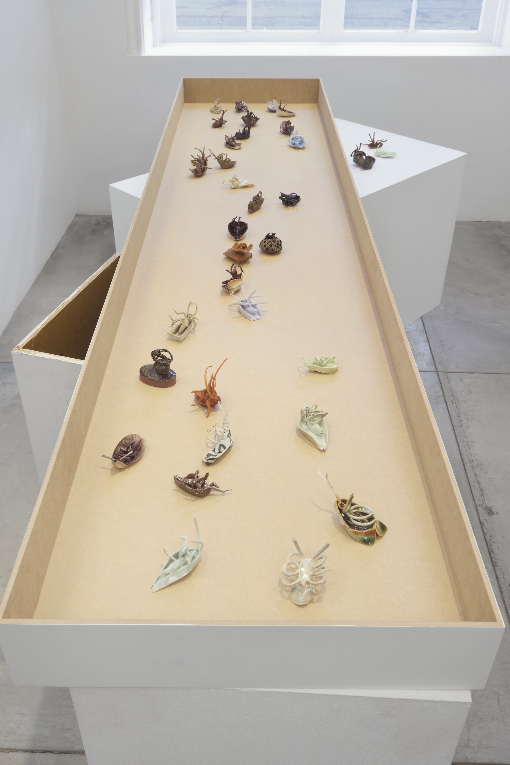 Yage Wang, image 10 of 15