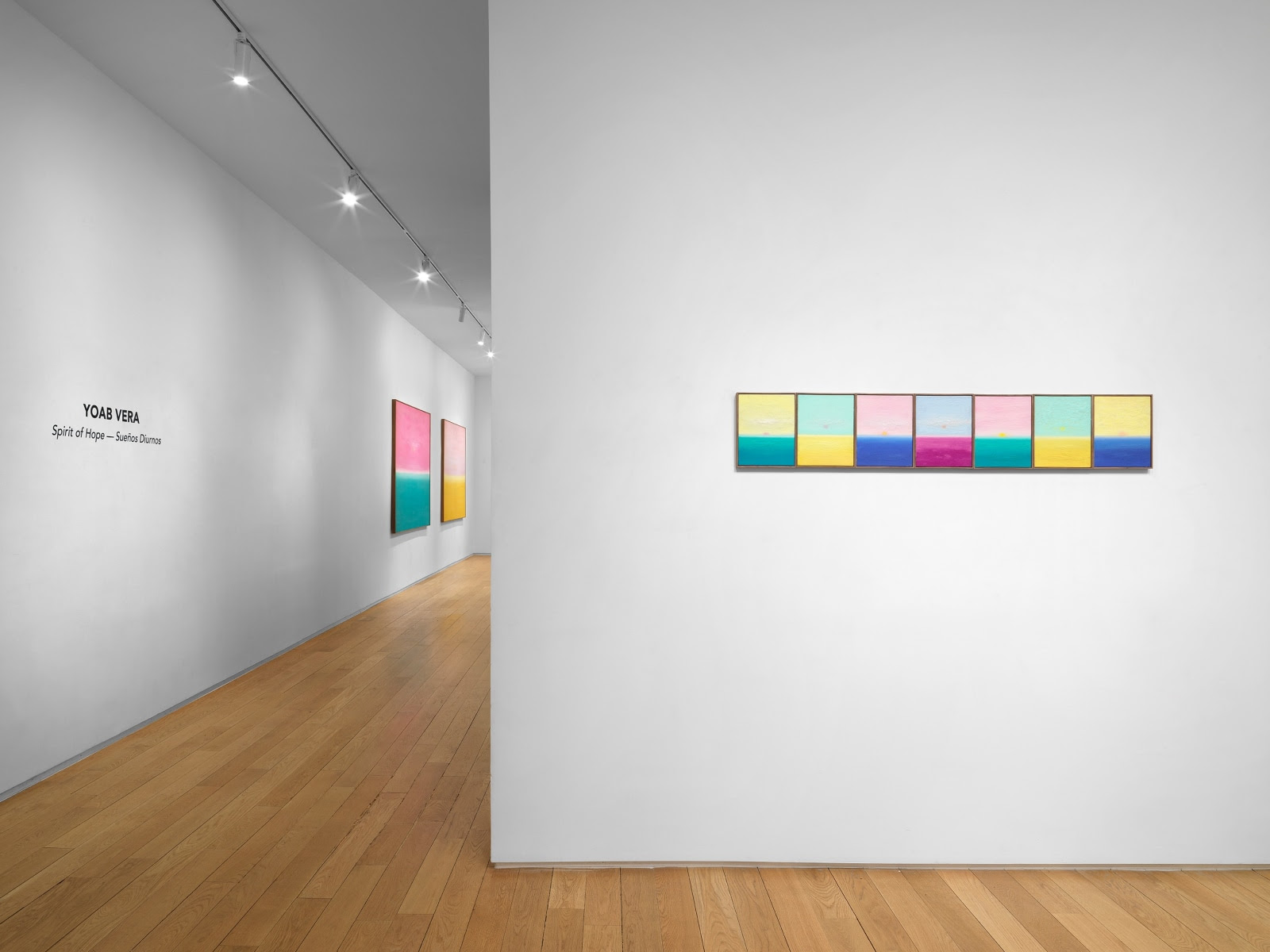 Yoab Vera, Spirit of Hope — Sueños Diurnos at Alexander Berggruen, photo 3