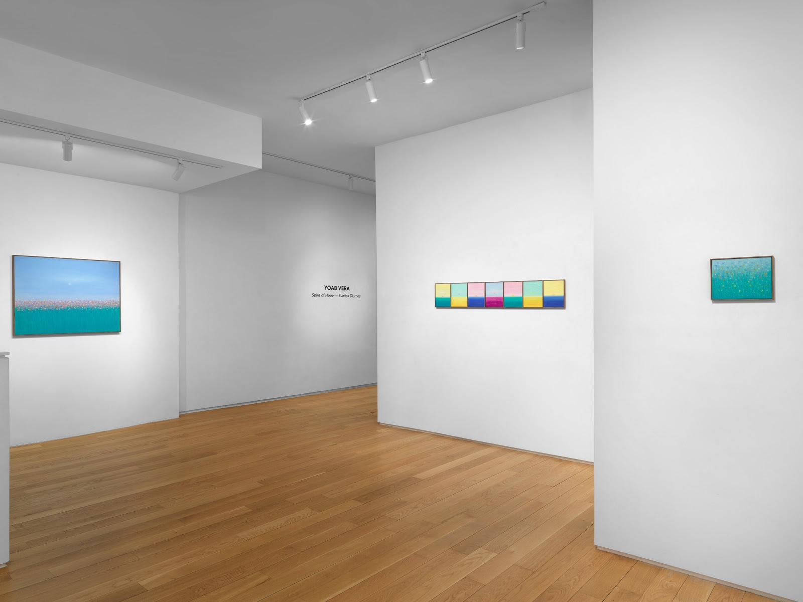 Yoab Vera, Spirit of Hope — Sueños Diurnos at Alexander Berggruen, photo 4