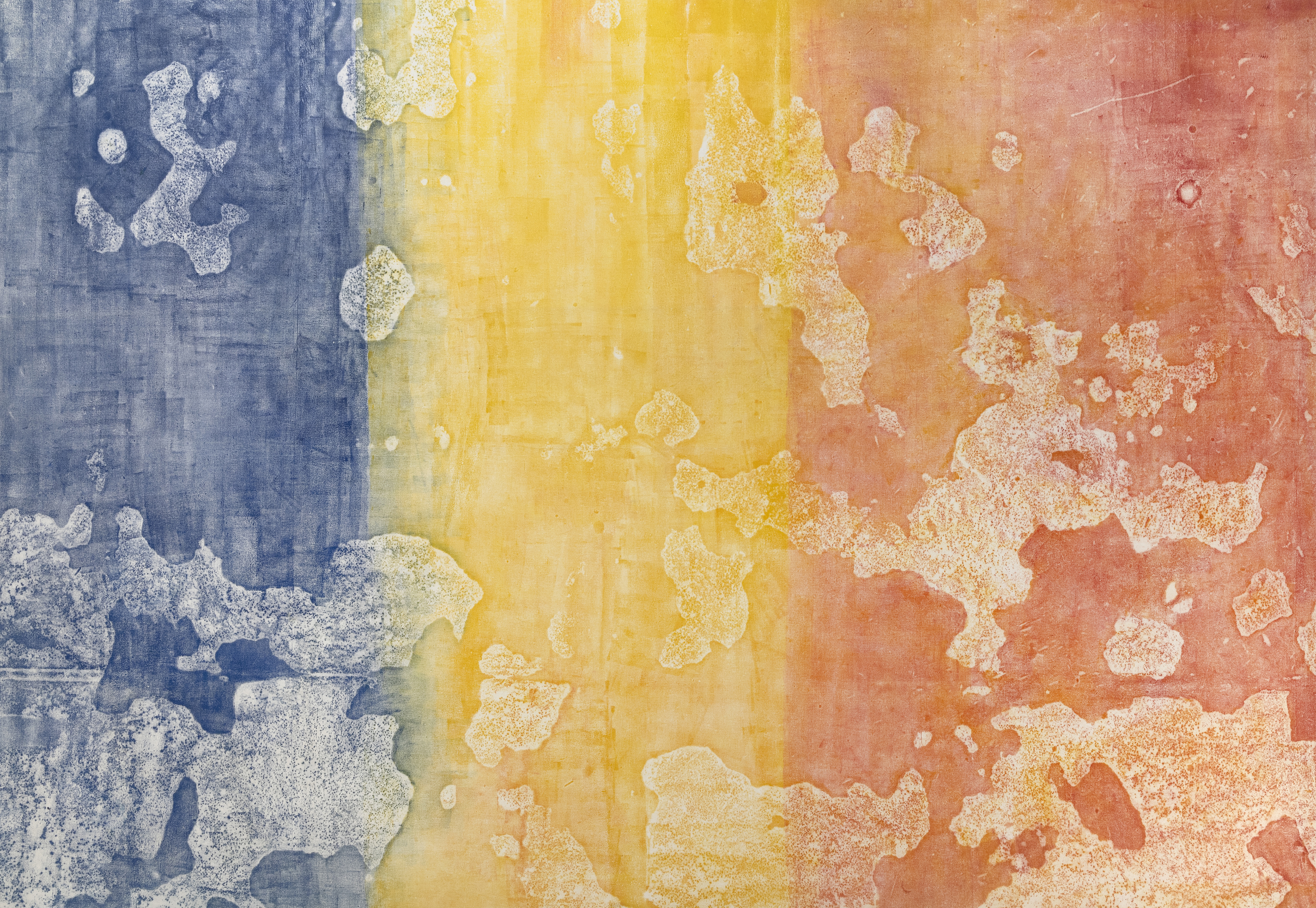 Sari Dienes, Night Eyes at Eric Firestone Gallery, photo 2
