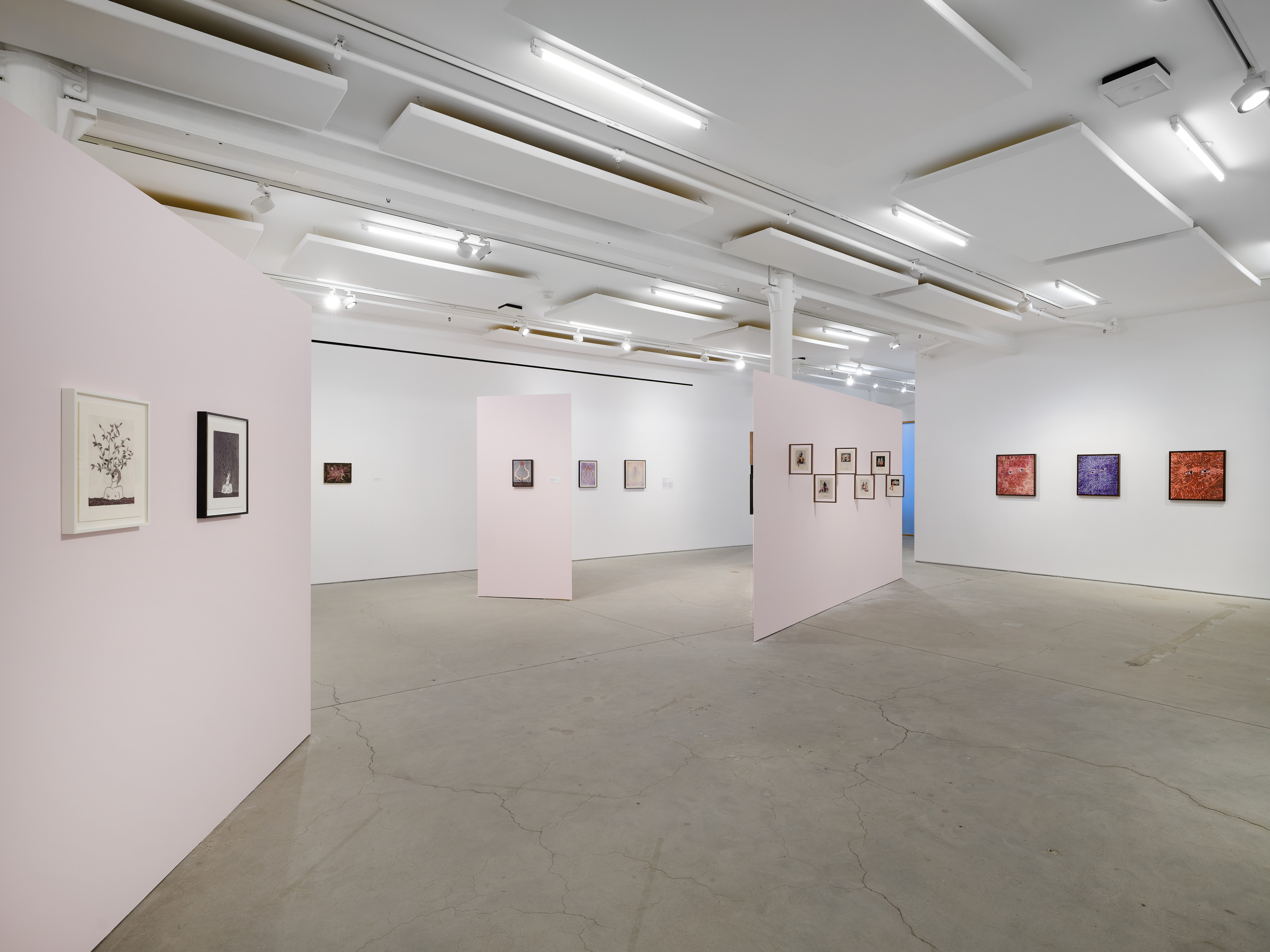 Felipe Baeza, Anima, at Print Center New York