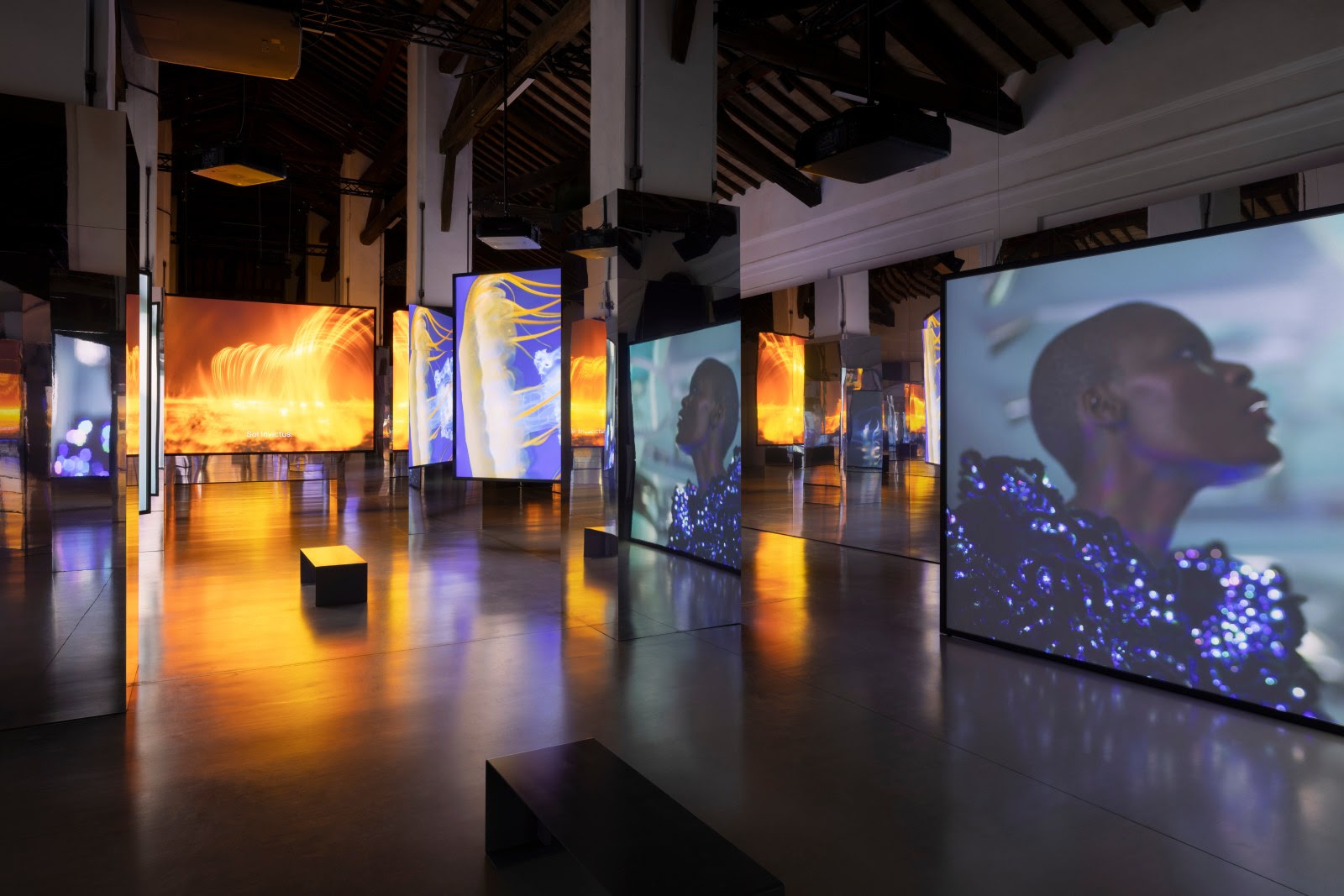 Isaac Julien, image 3 of 3
