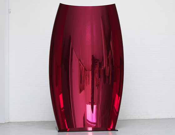 Anish Kapoor, Anish Kapoor at Lisson, photo 3