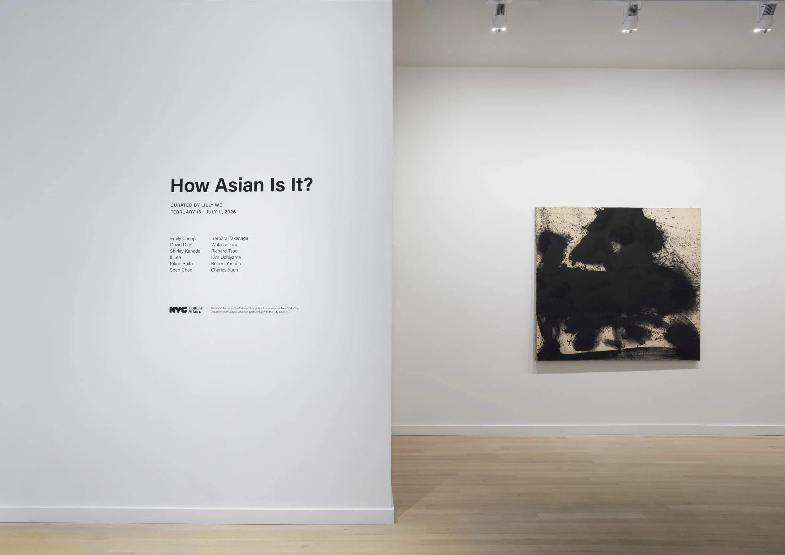 How Asian Is It?, How Asian Is It? at Milton Resnick and Pat Passlof Foundation, photo 6