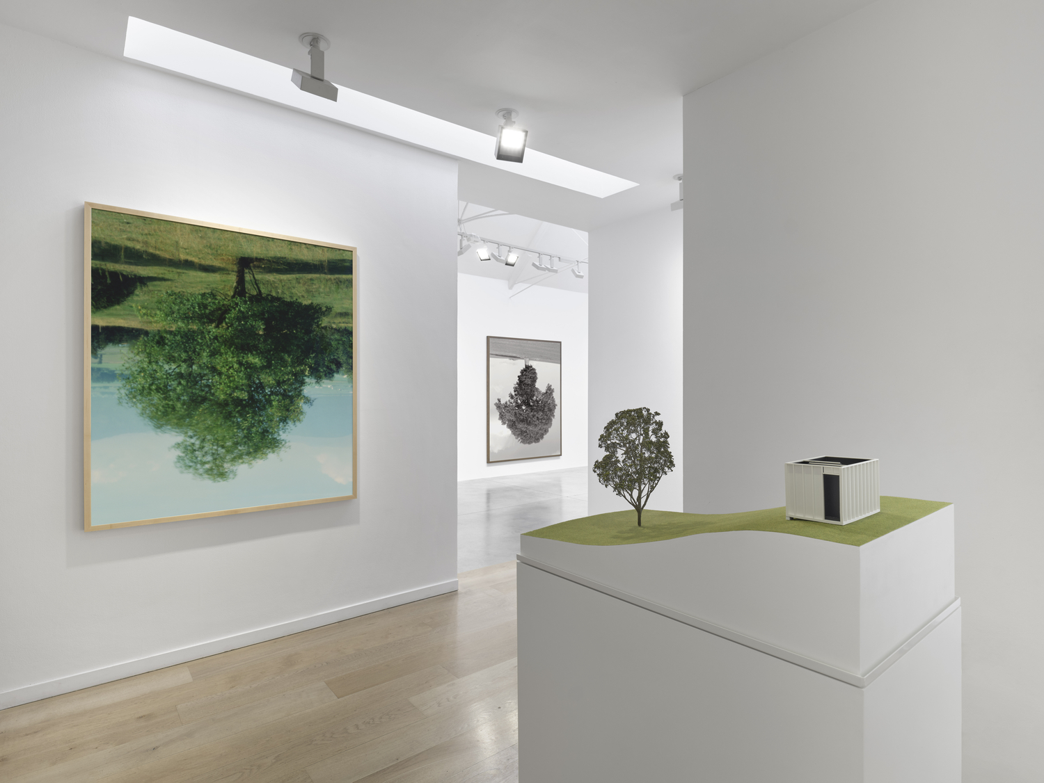 Rodney Graham, Who Does Not Love a Tree? at Lisson, photo 3