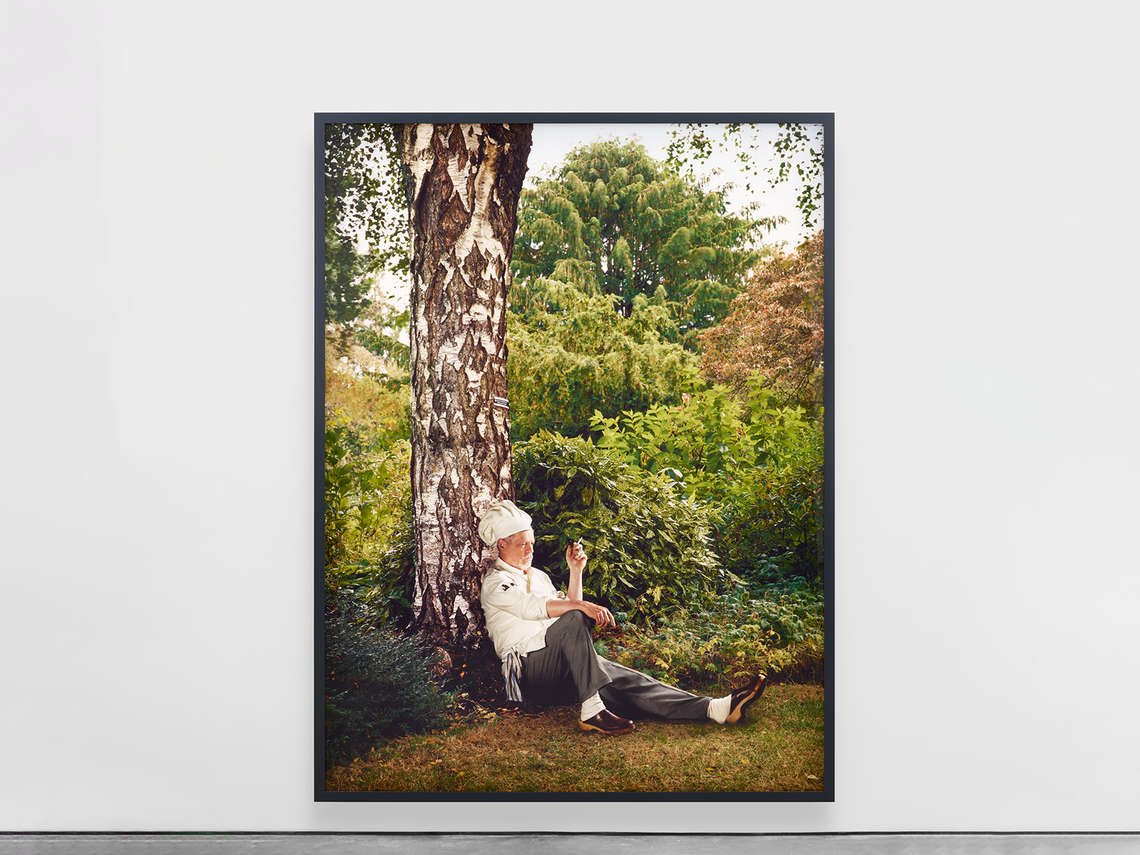 Rodney Graham, Who Does Not Love a Tree? at Lisson, photo 4
