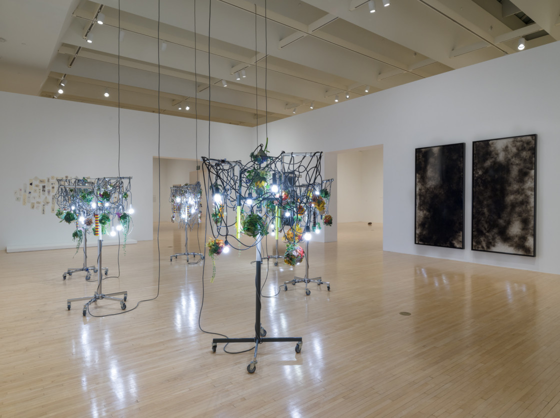 Diary of Flowers: Artists and Their Worlds, Diary of Flowers: Artists and Their Worlds at MOCA Grand Avenue, photo 6