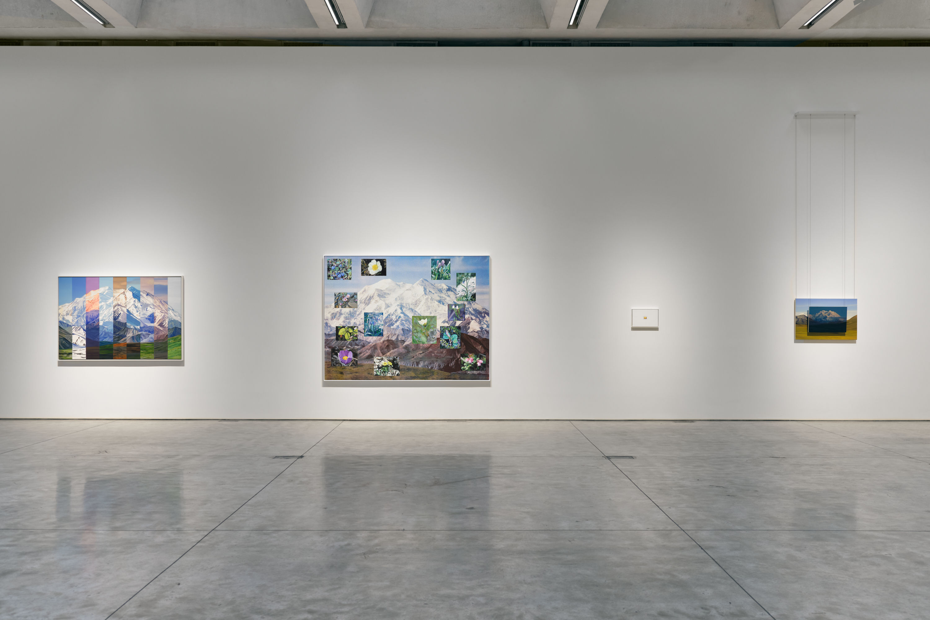 Cynthia Daignault, image 7 of 9