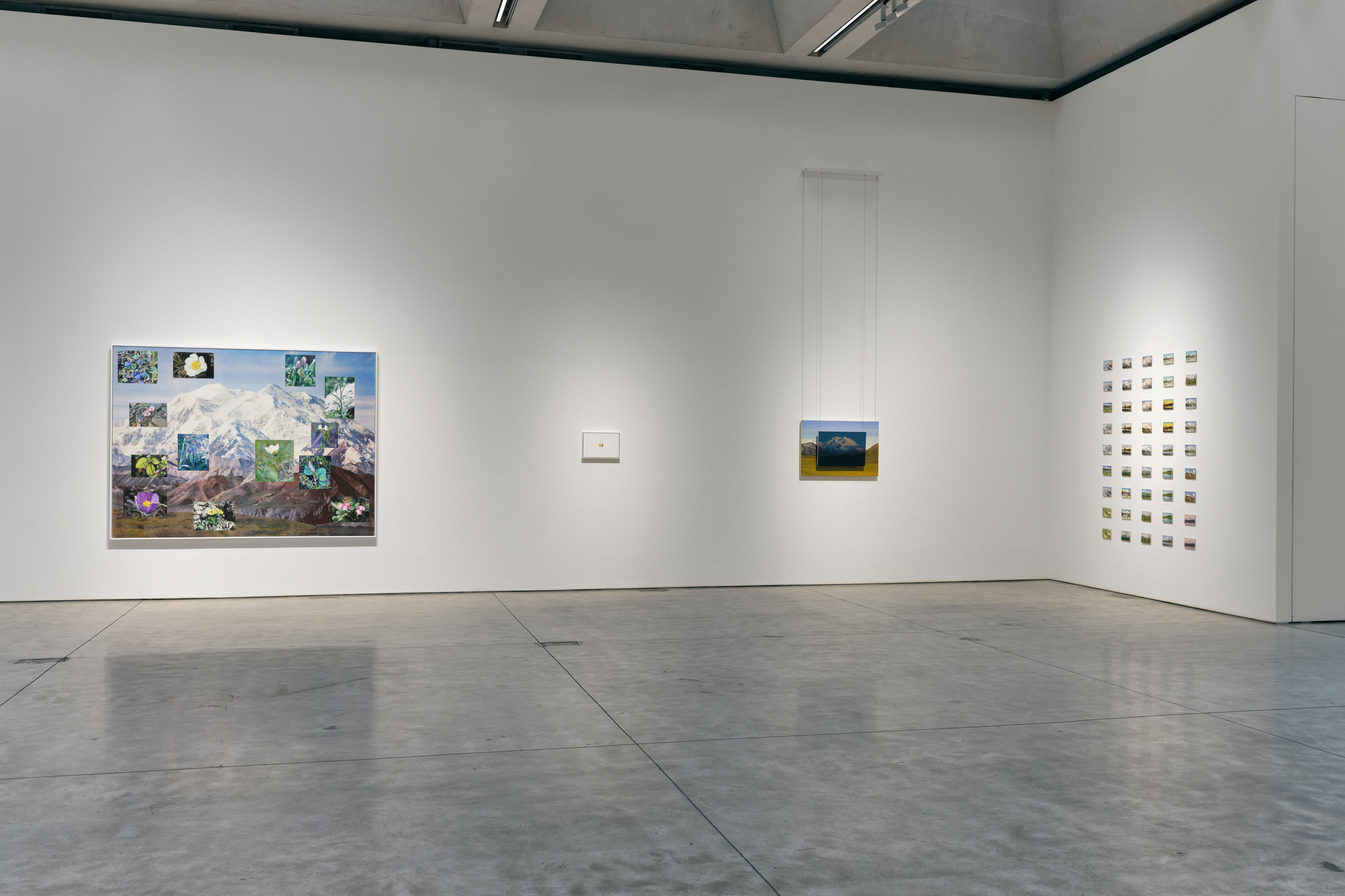 Cynthia Daignault, image 8 of 9
