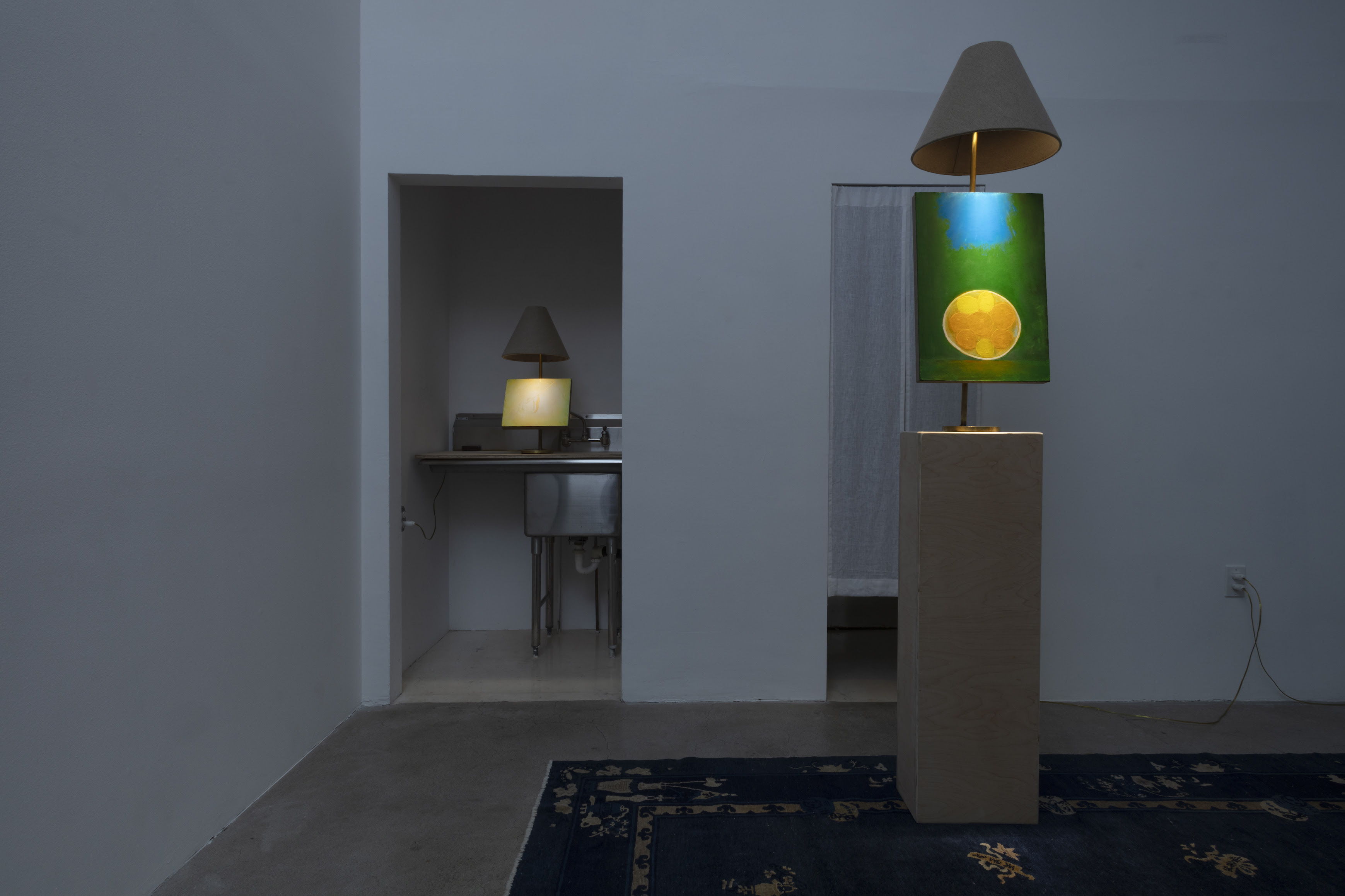 Dustin Metz, The Lamp Paintings at North Loop West, photo 2