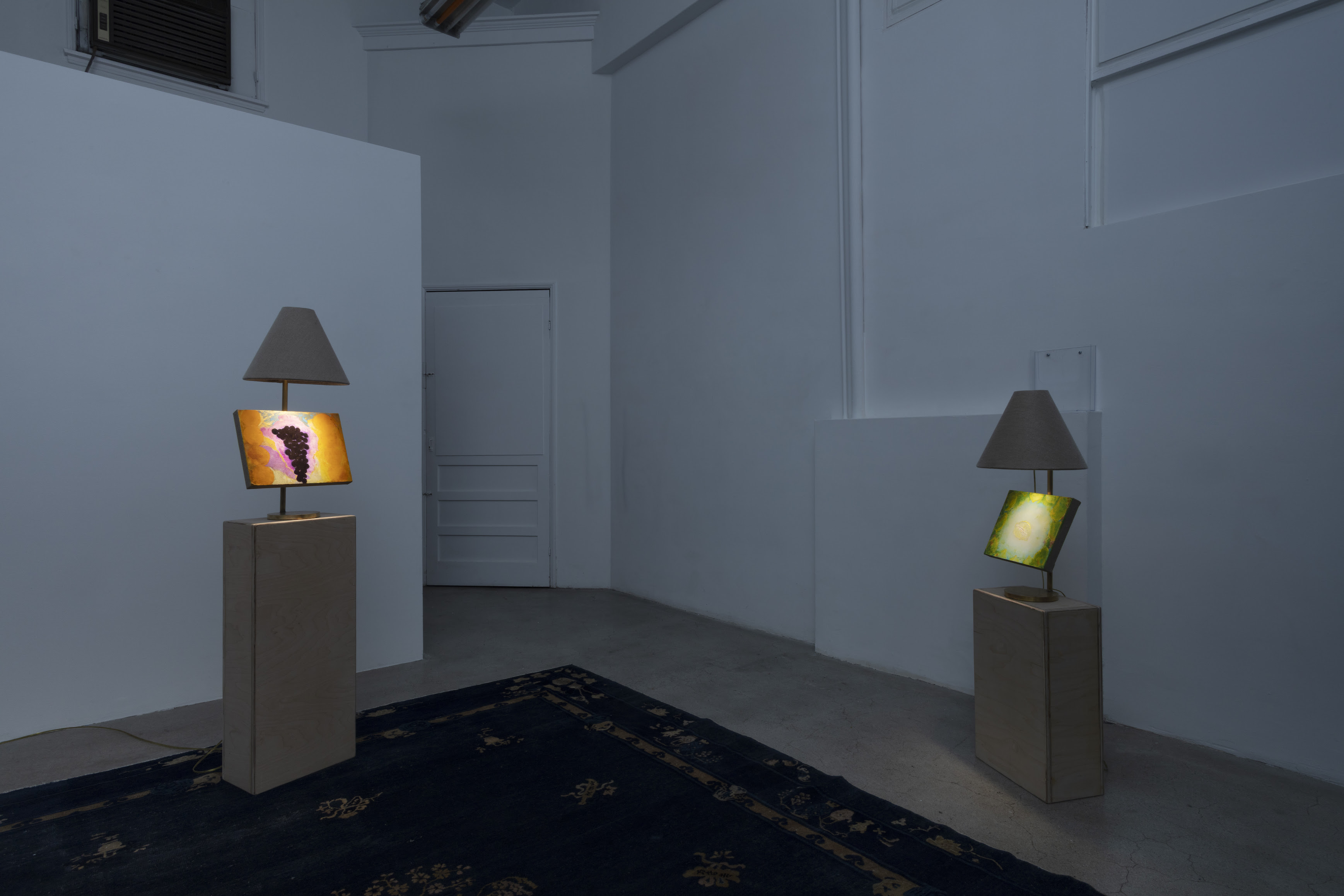 Dustin Metz, The Lamp Paintings at North Loop West, photo 4