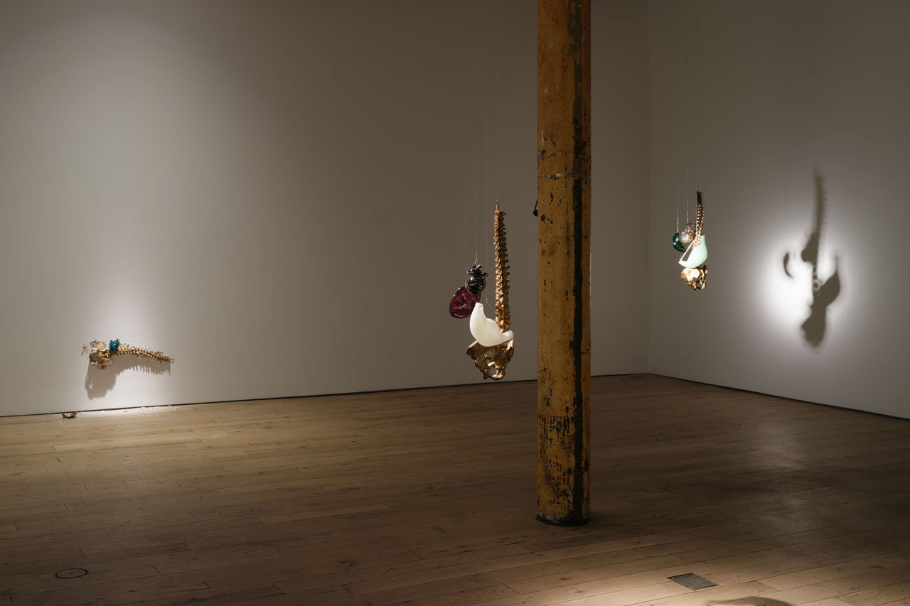 Andisheh Avini, All of You at Martos Gallery, photo 2