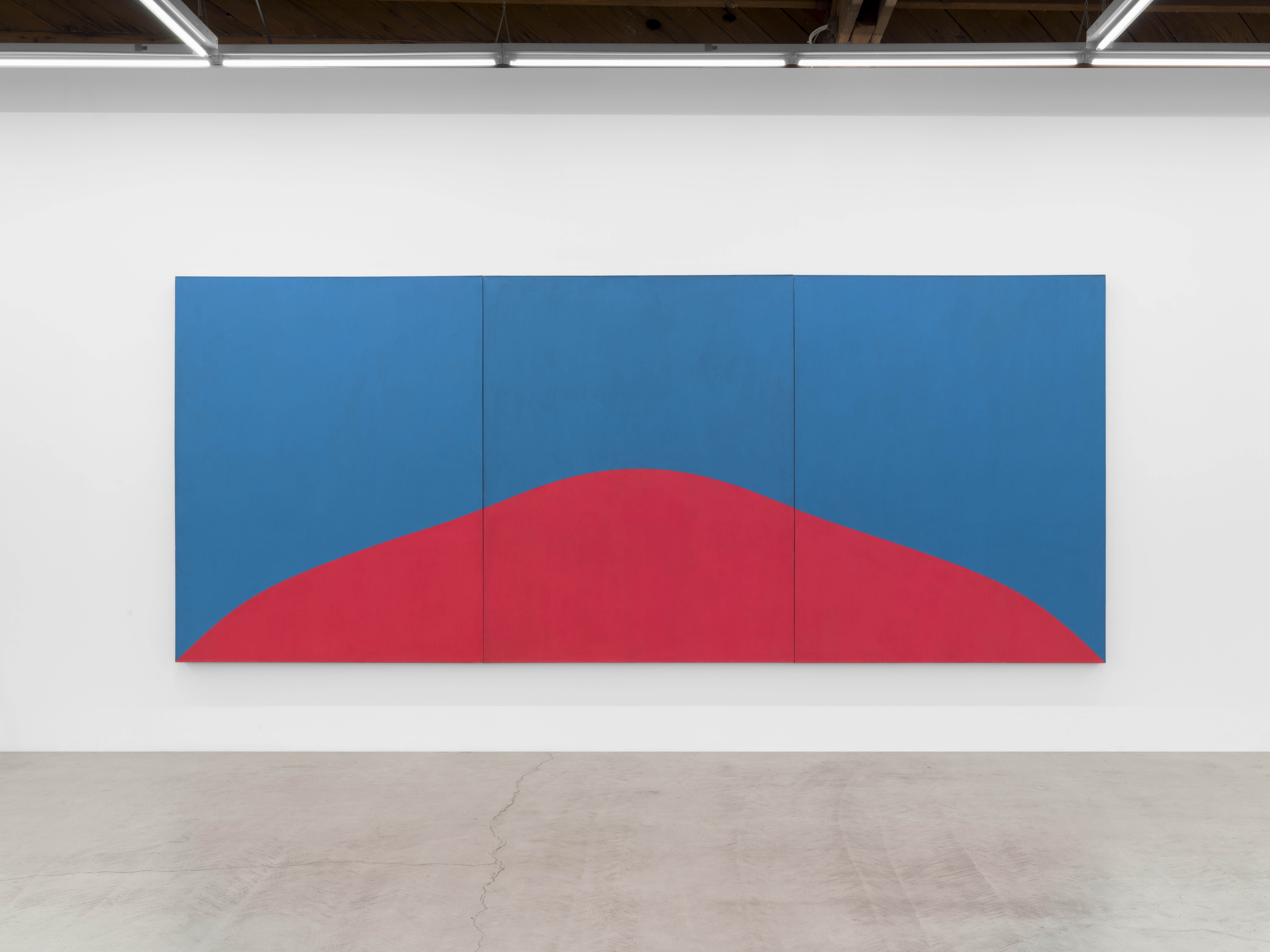 Marcia Hafif, Experience of Being at Parrasch Heijnen, photo 2
