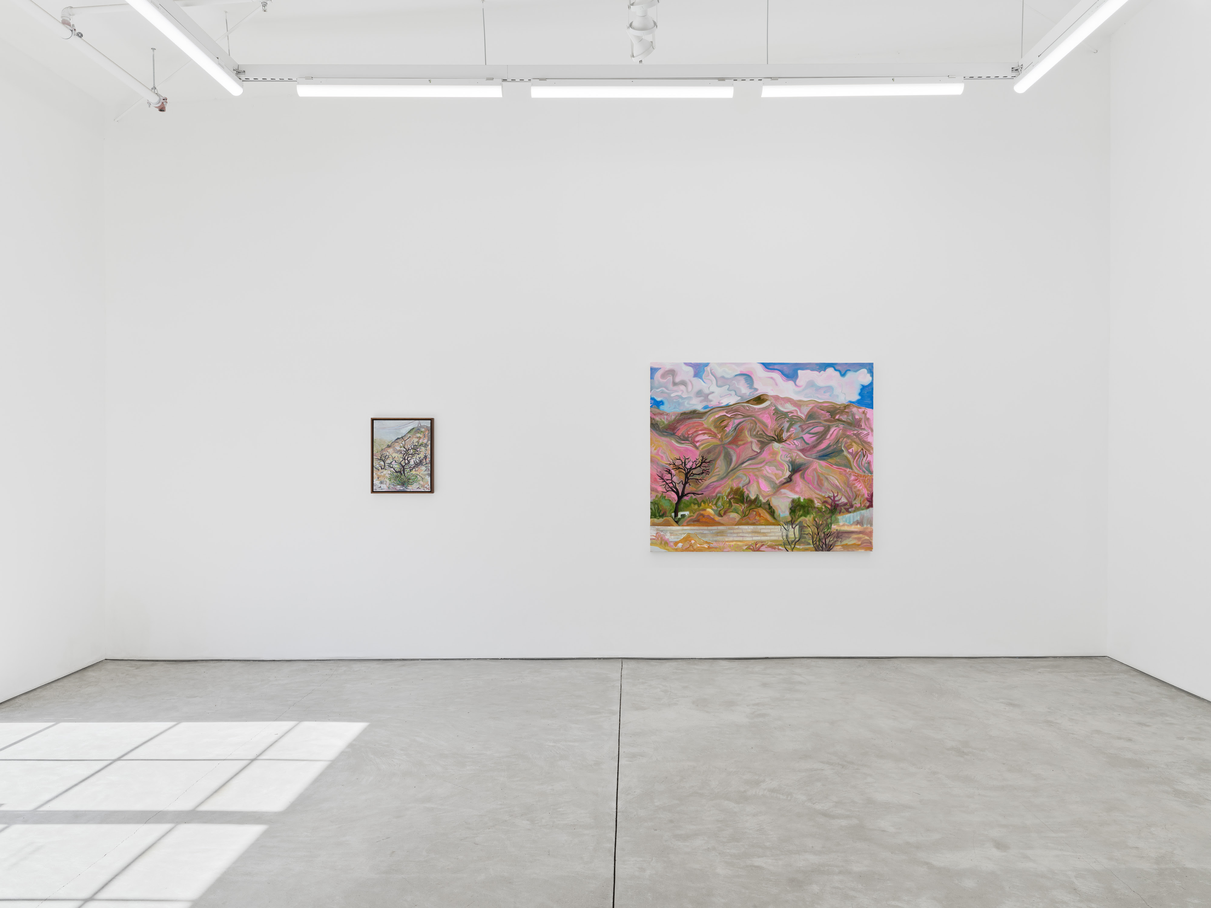 Mira Dancy, Mourning's Orbit at Night Gallery, photo 2