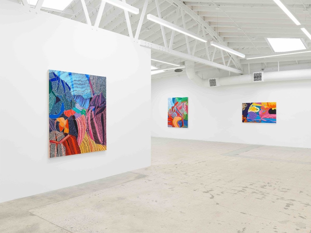 Heather Guertin, The Radiant Edge at Anat Ebgi, photo 2