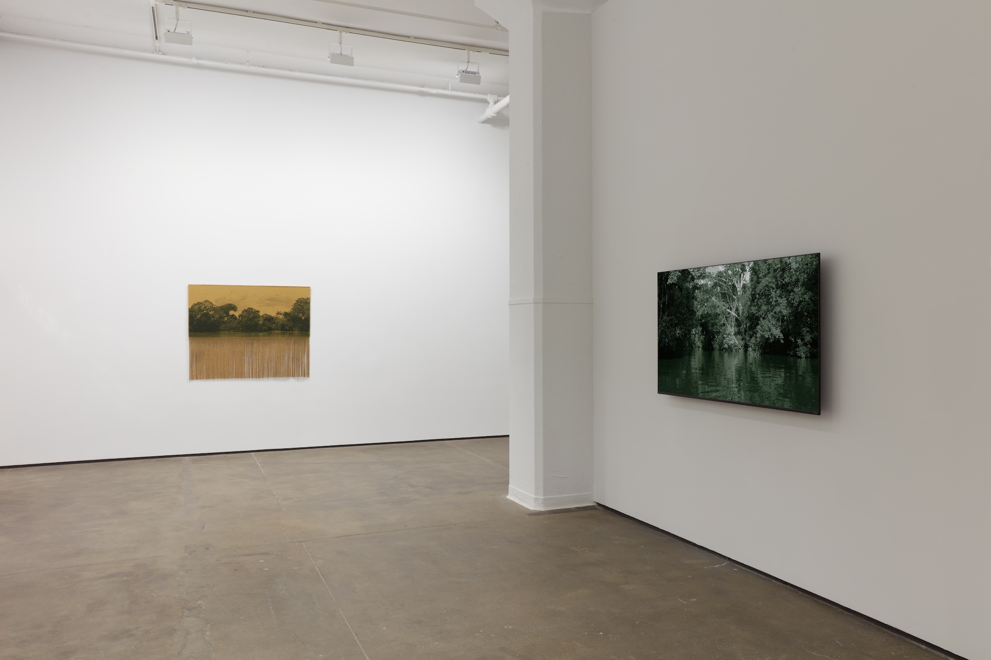 Installation view 12