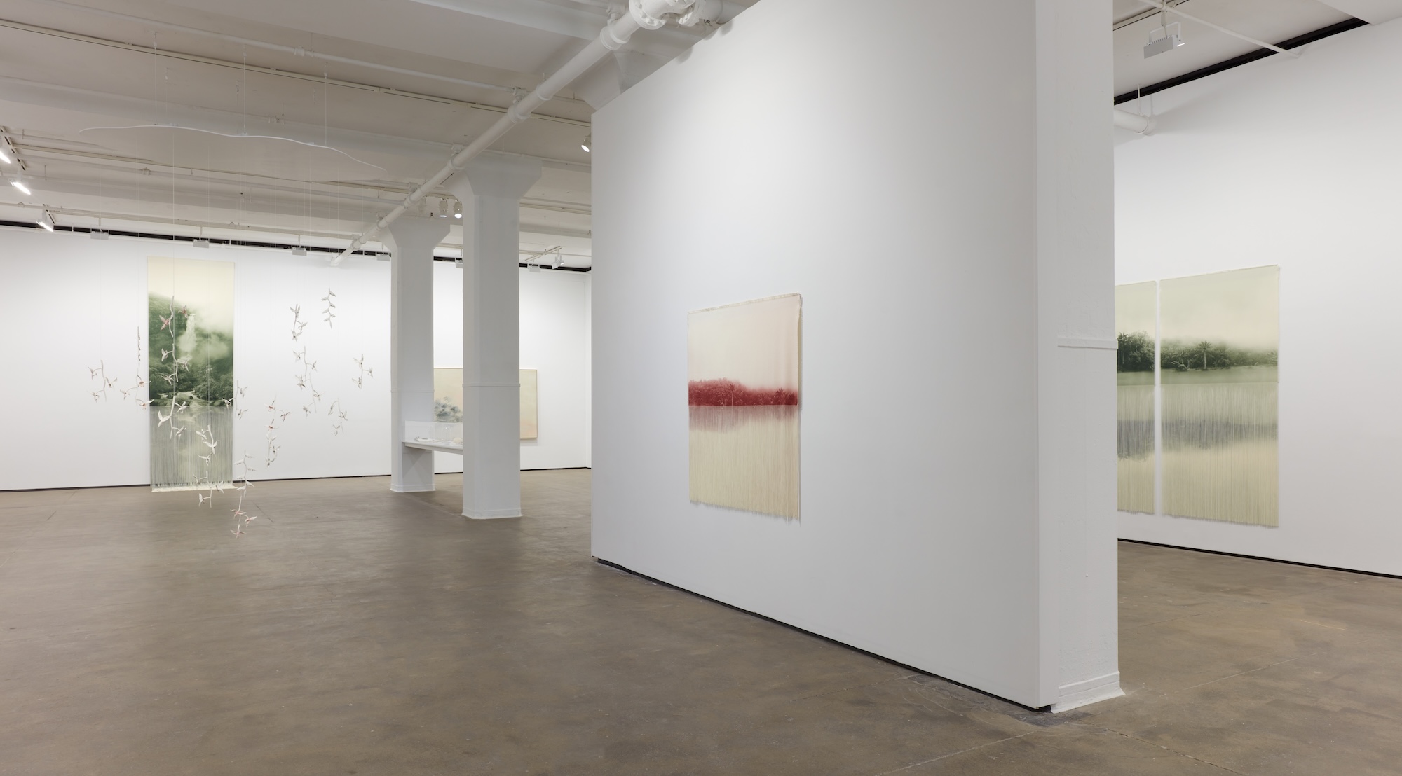 Ana González, Río at Sean Kelly, photo 13