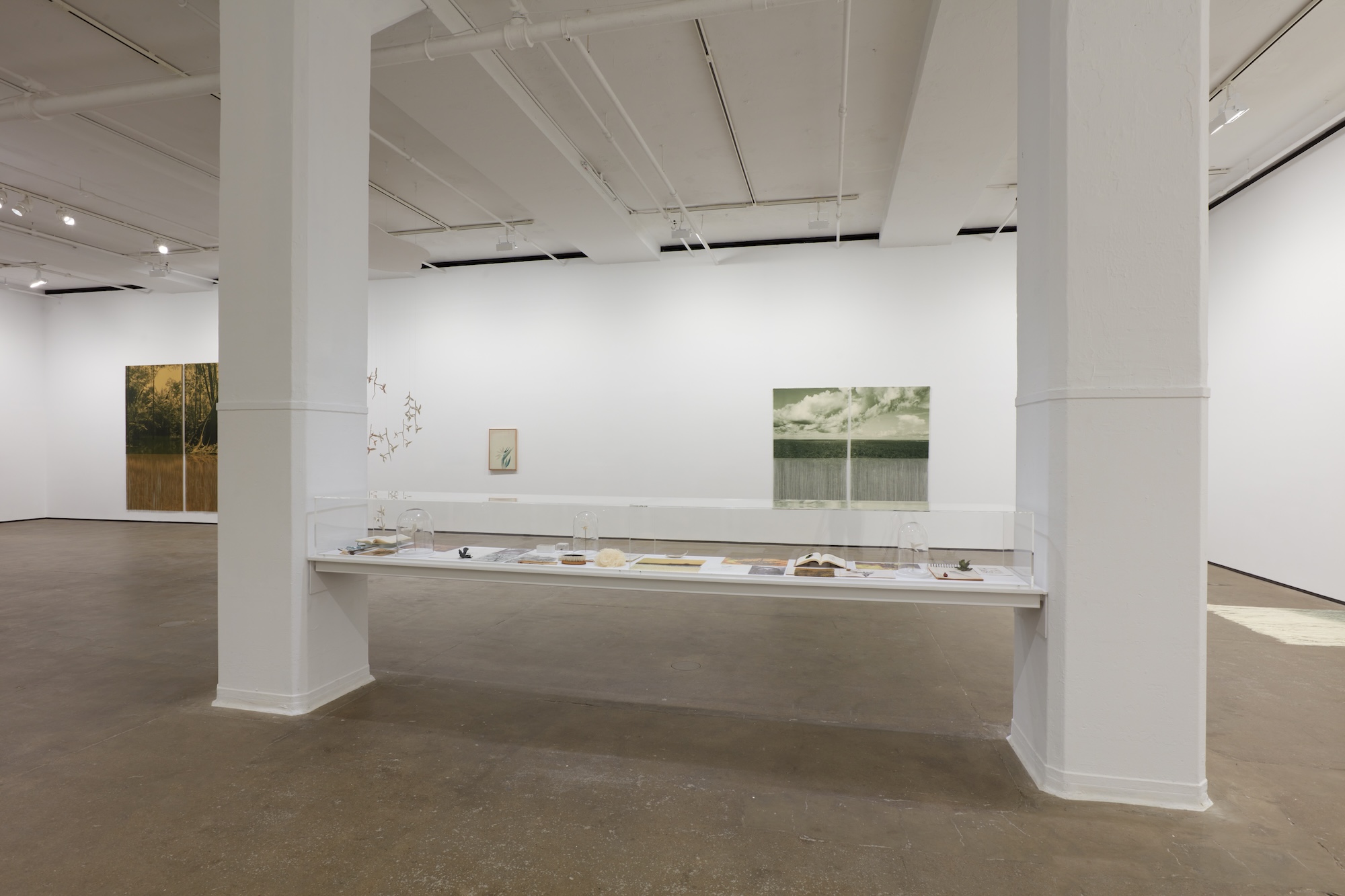 Ana González, Río at Sean Kelly, photo 14