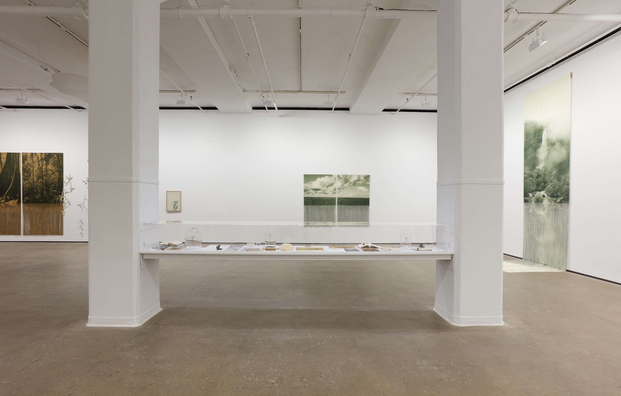 Ana González, Río at Sean Kelly, photo 15