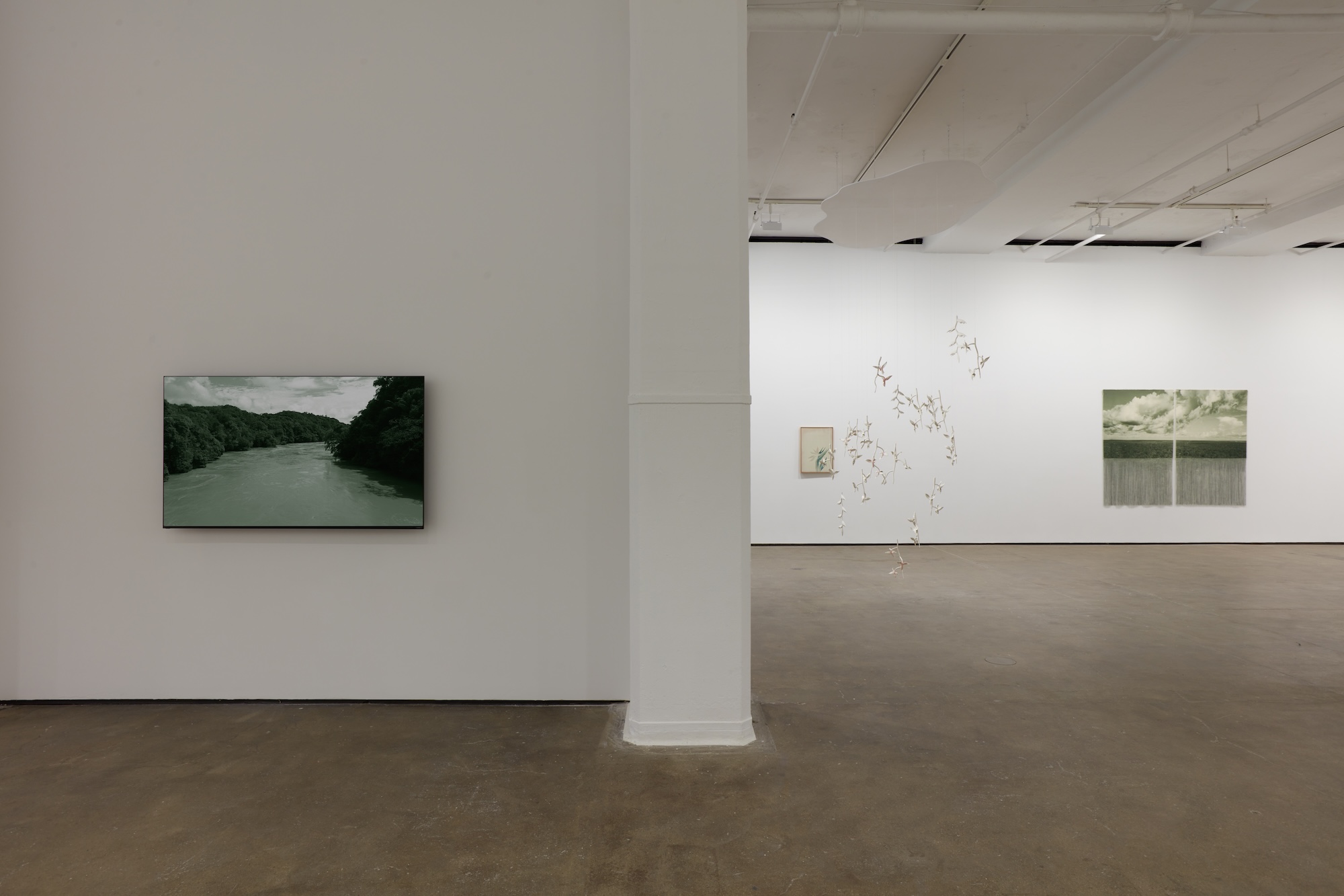 Ana González, Río at Sean Kelly, photo 16