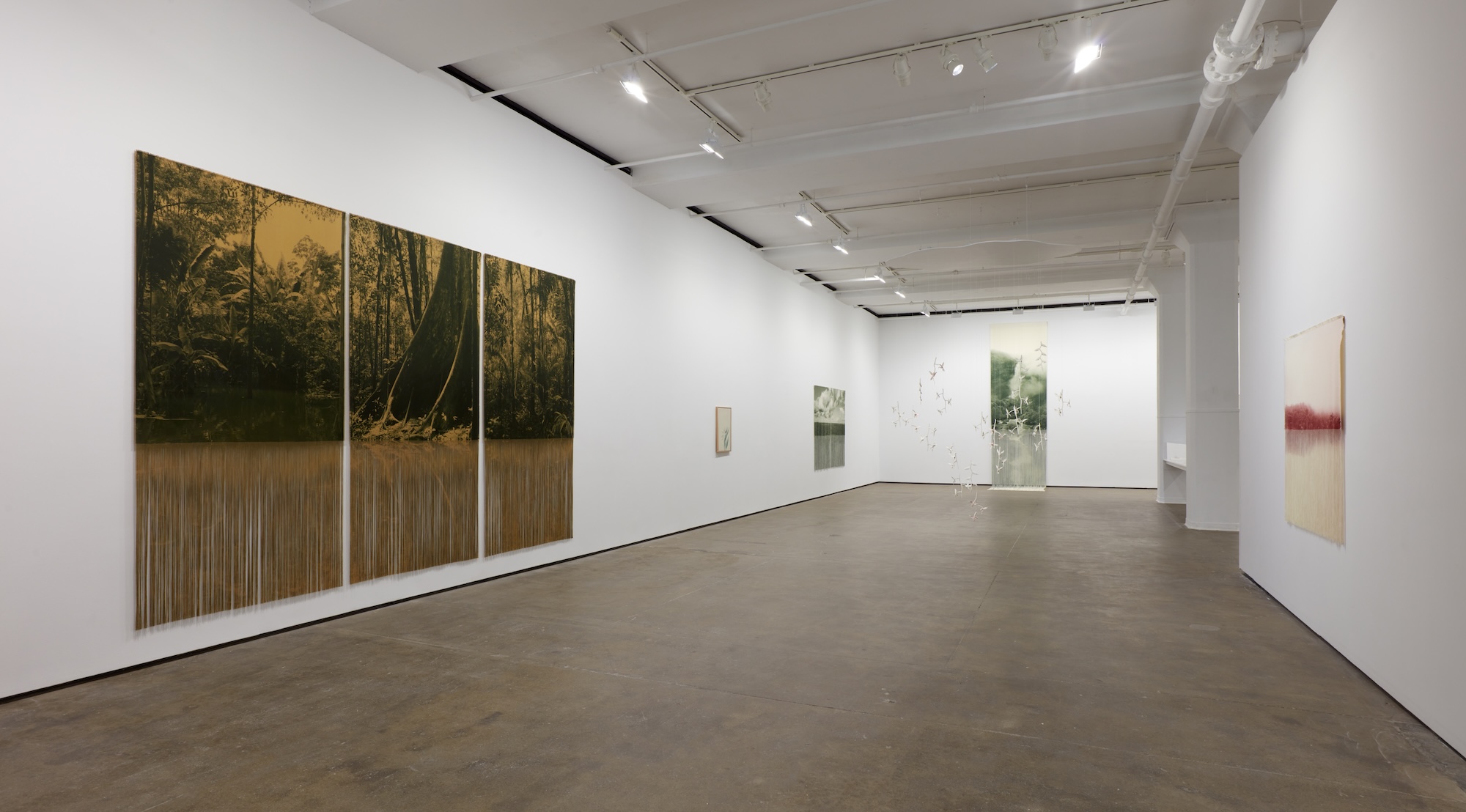 Ana González, Río at Sean Kelly, photo 17