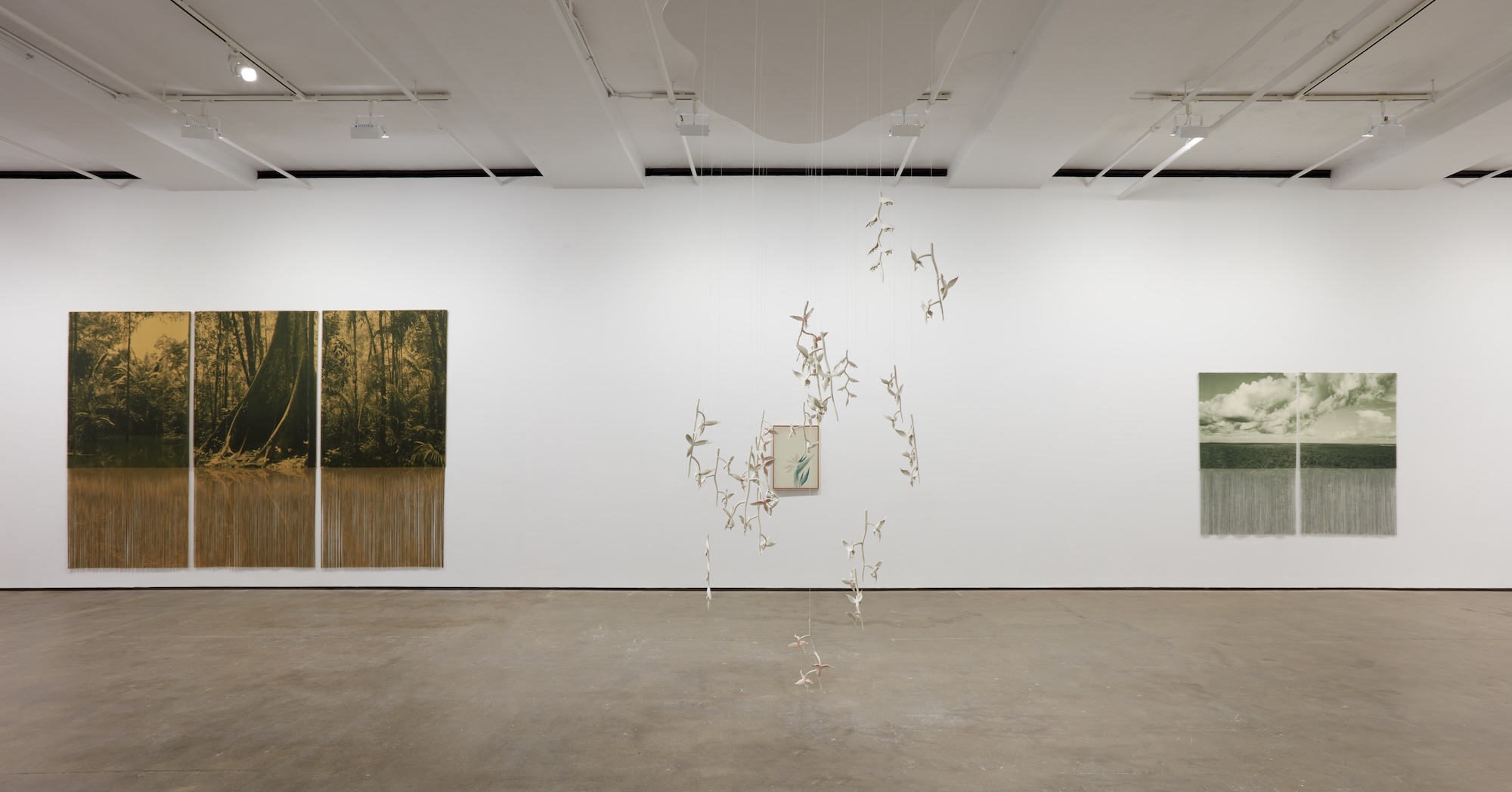 Ana González, Río at Sean Kelly, photo 18