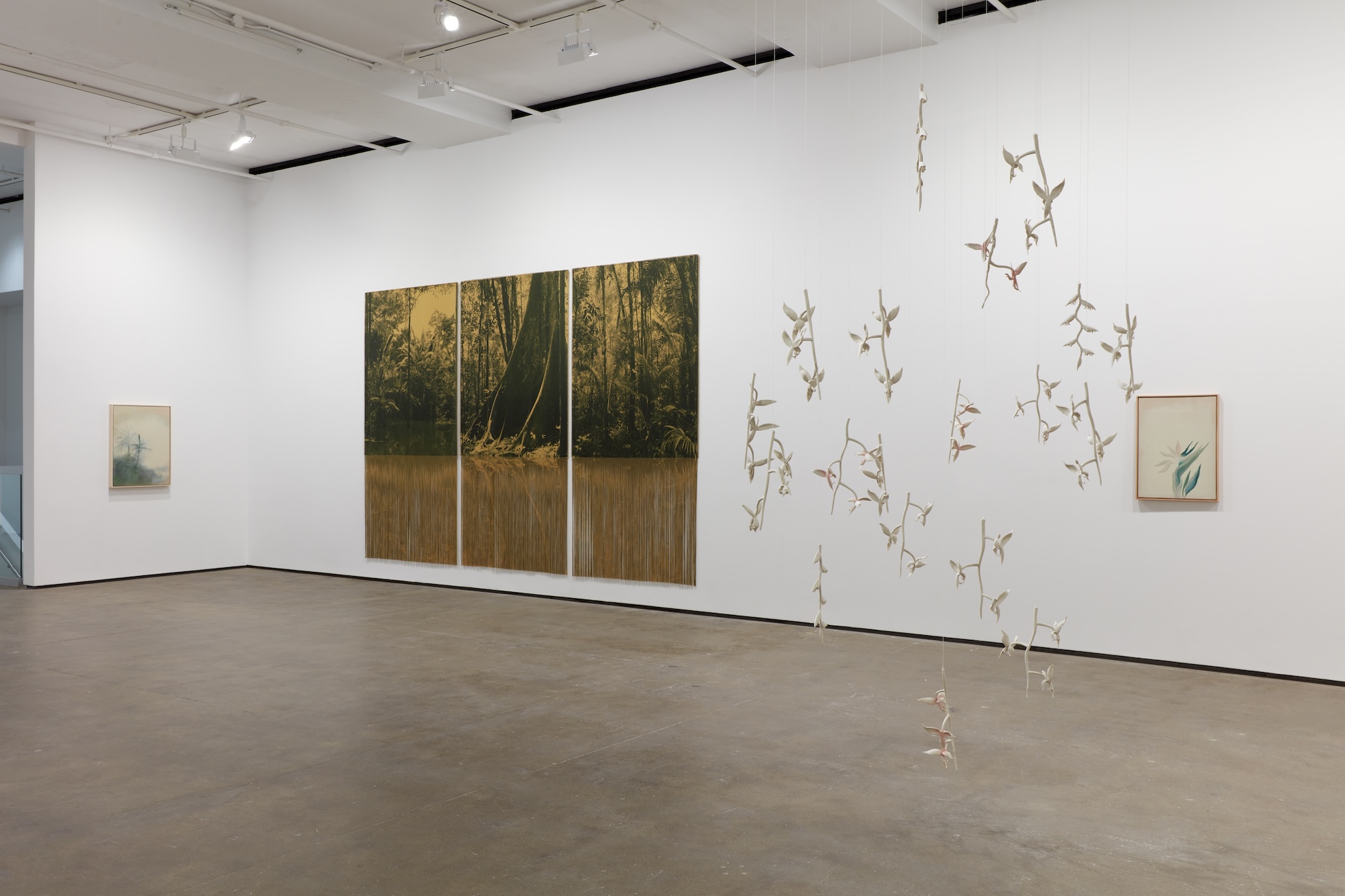 Ana González, Río at Sean Kelly, photo 19