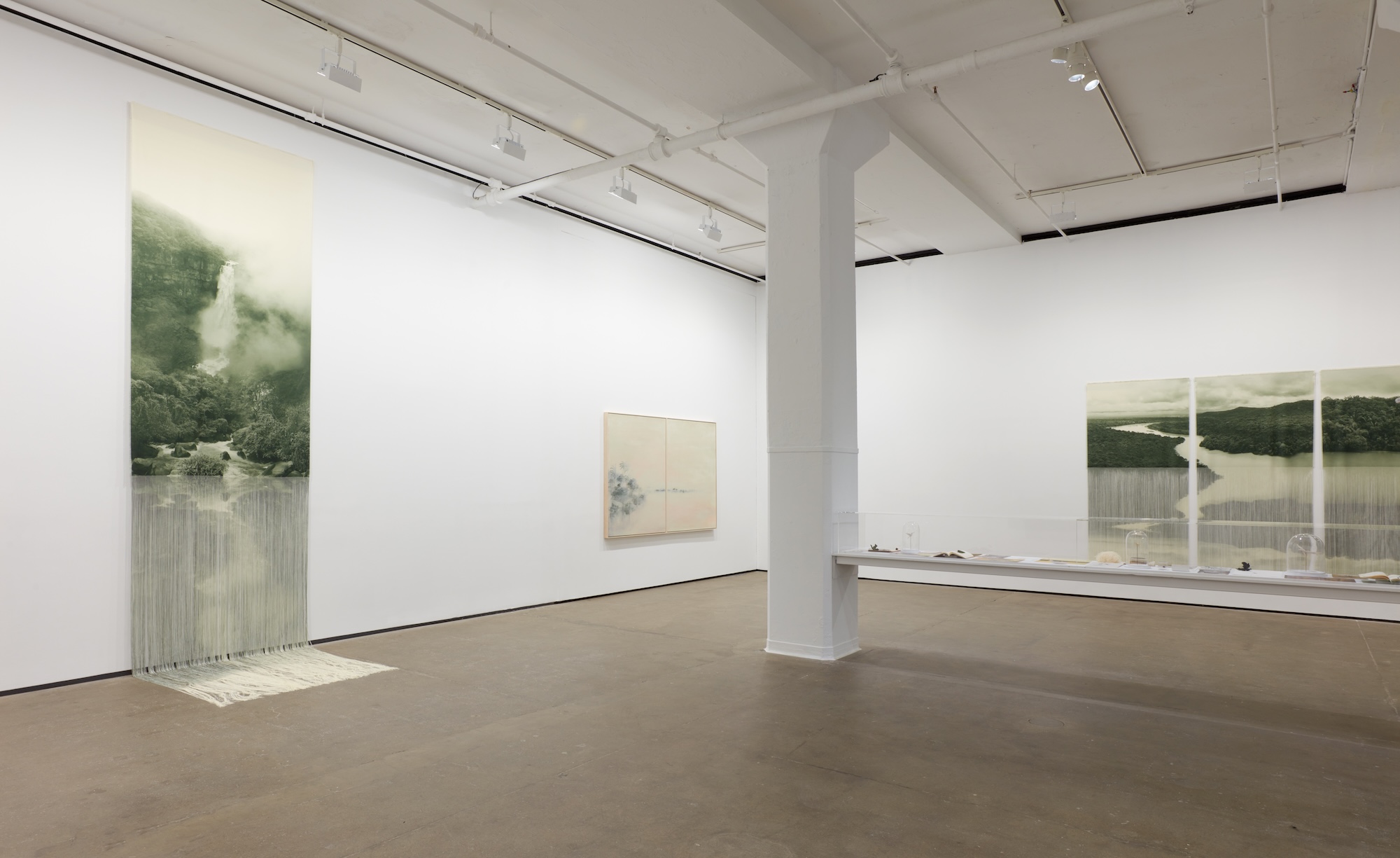 Installation view 4