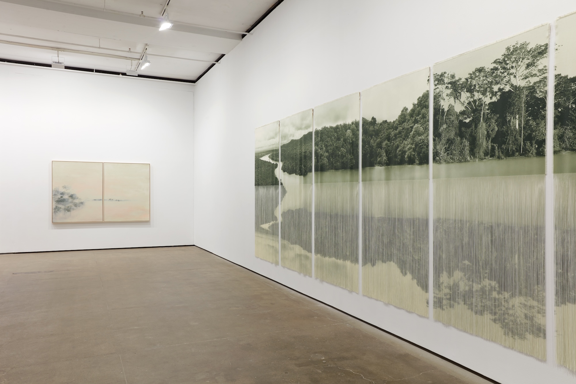 Installation view 5