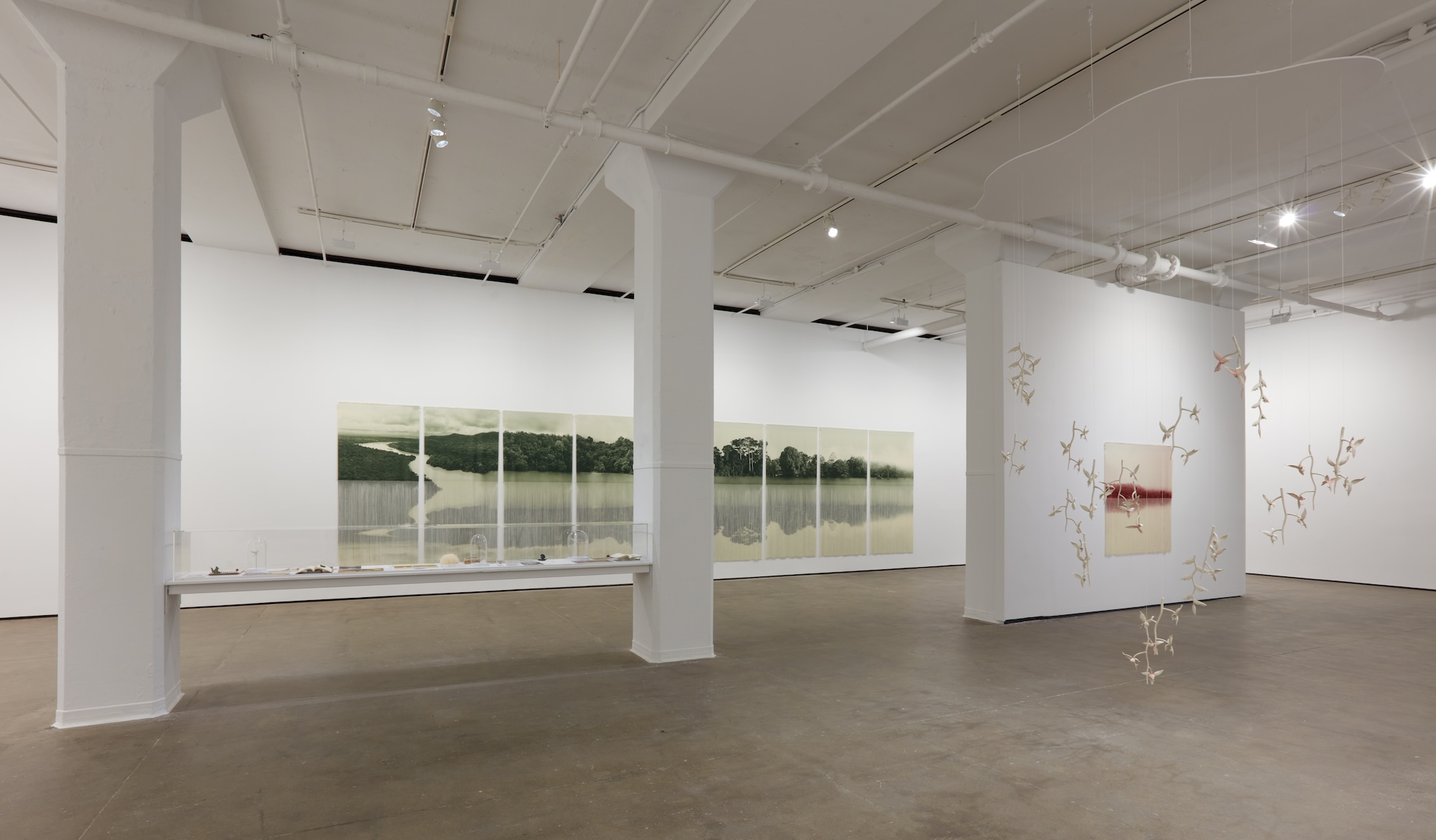 Installation view 6