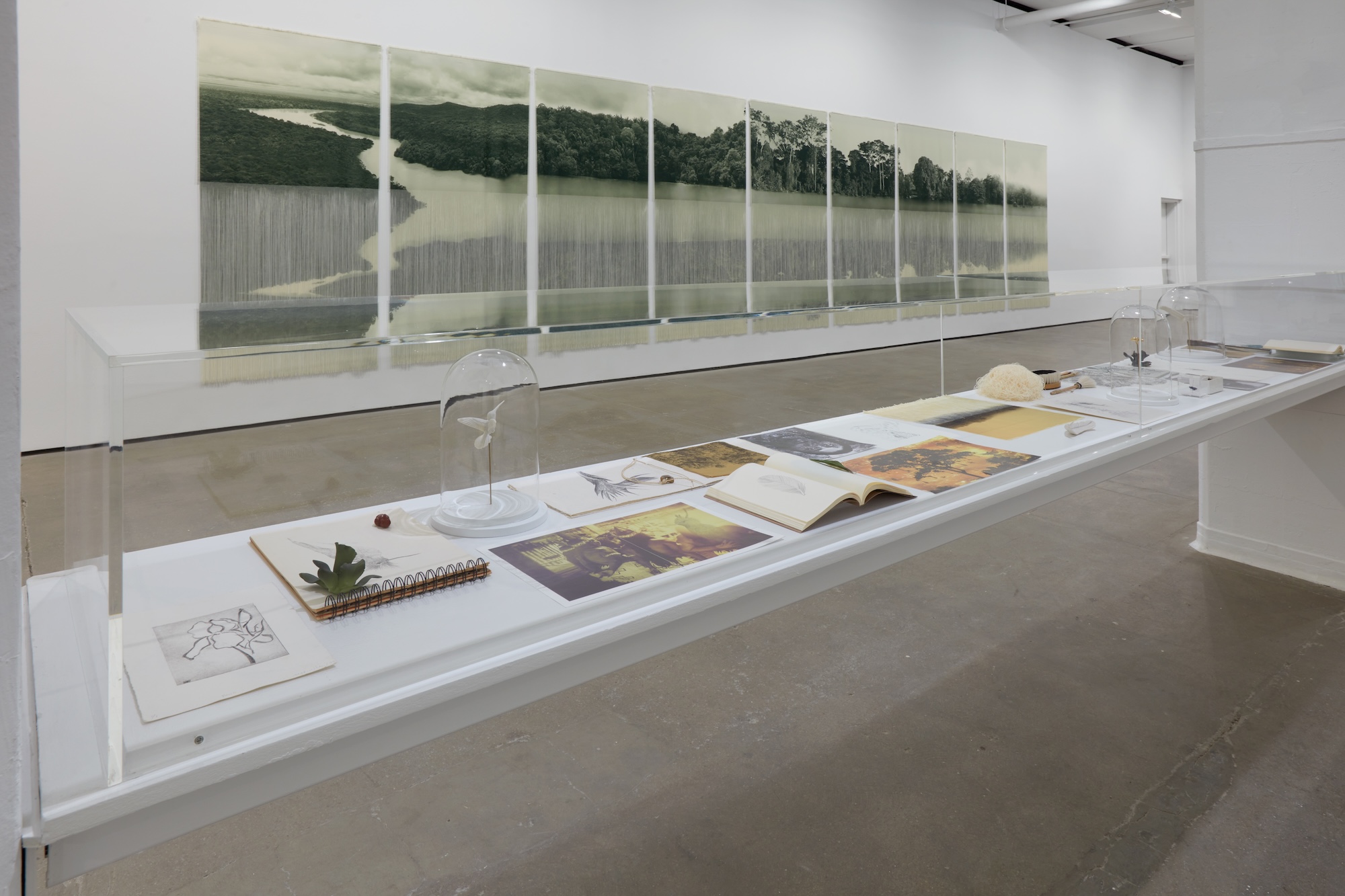 Installation view 7