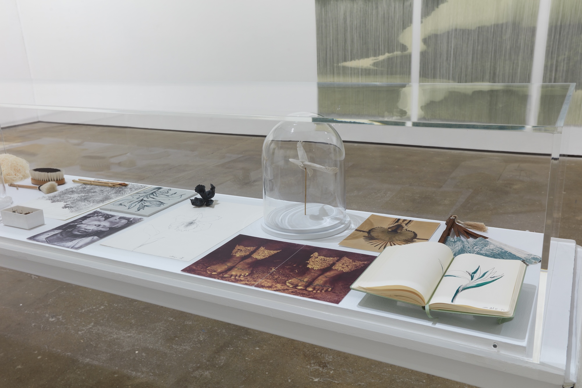 Installation view 8