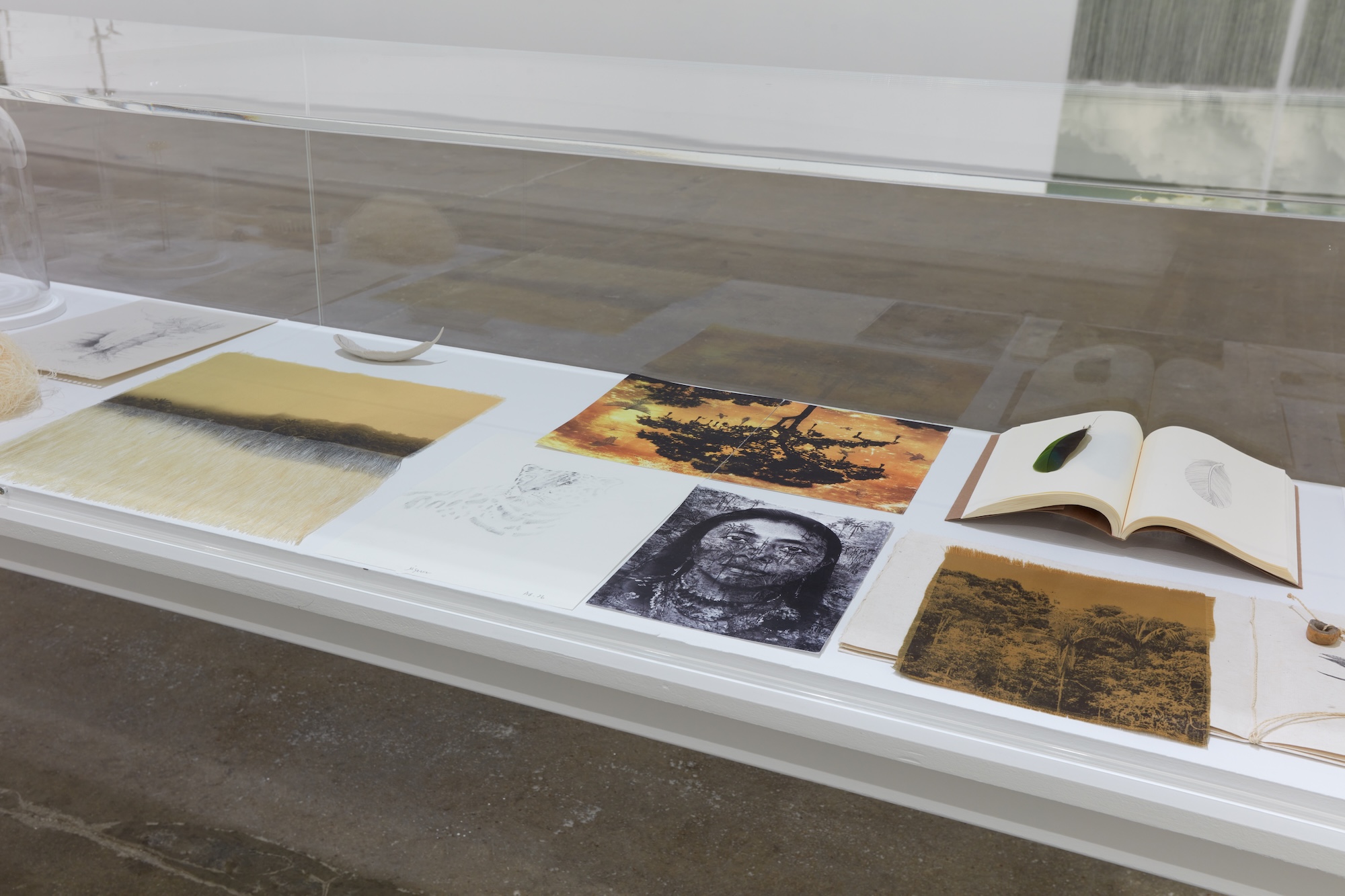 Installation view 10