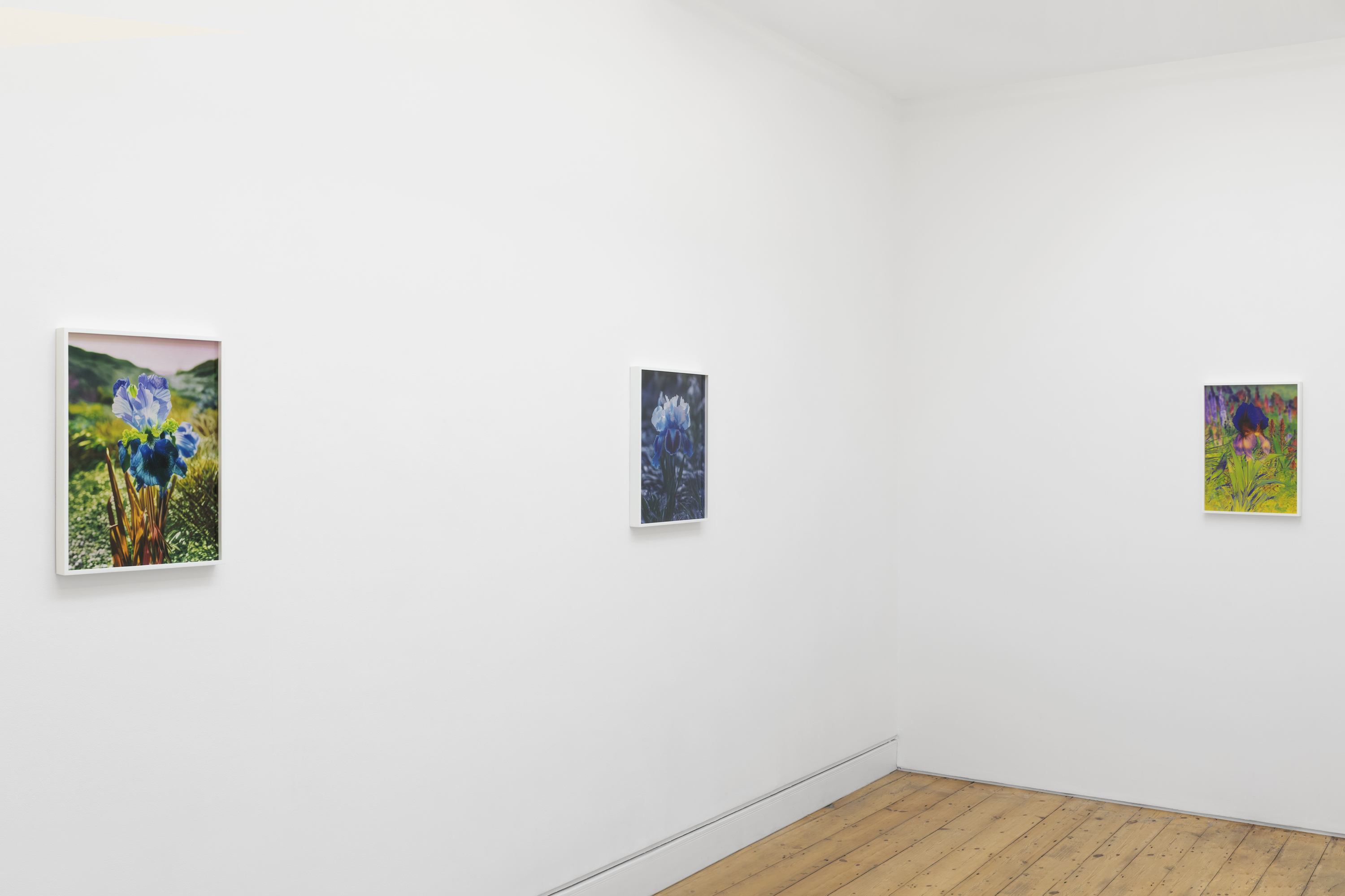 Lisa Oppenheim, Portraits/Hybrids at The Approach, photo 5