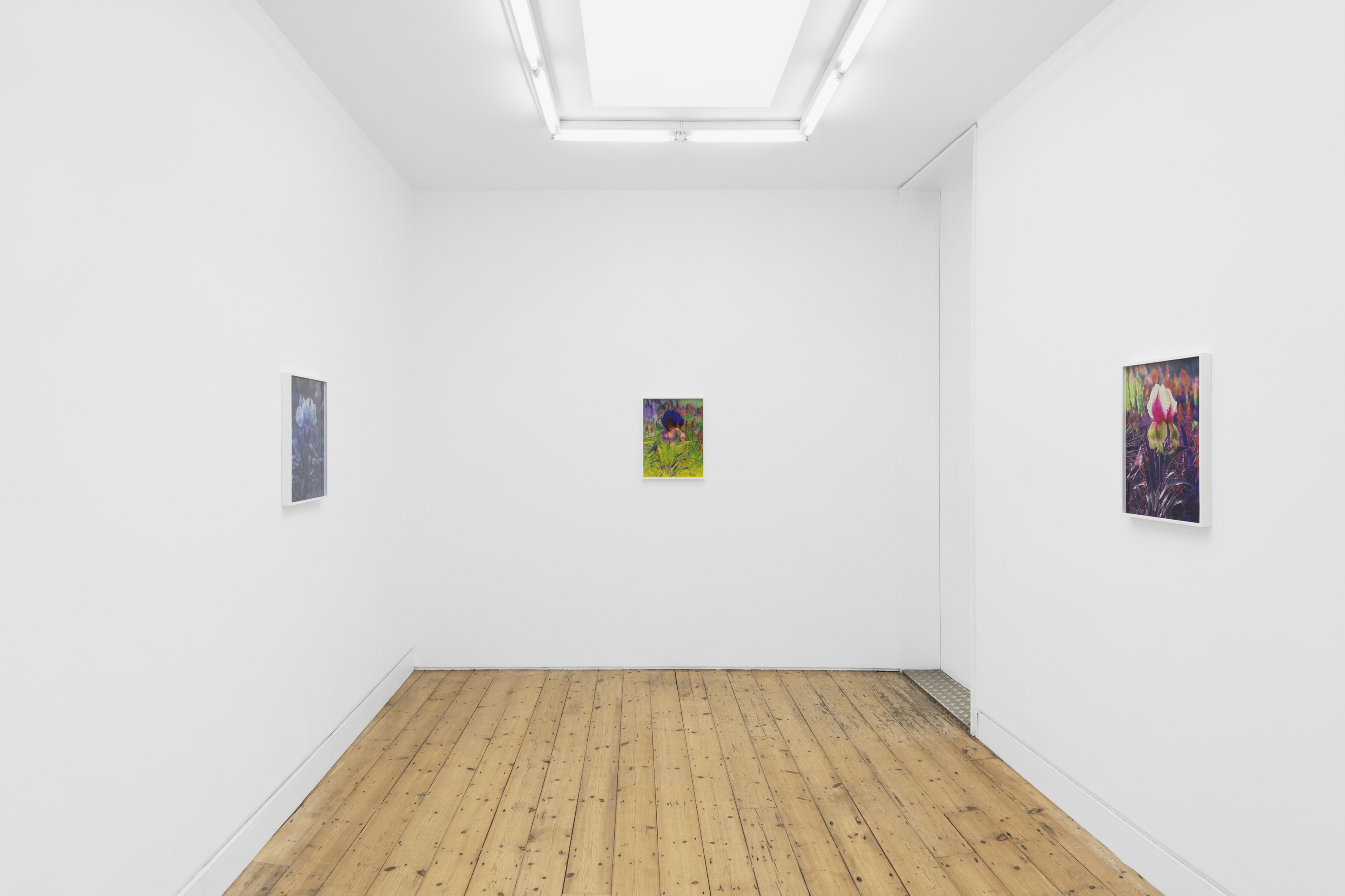 Lisa Oppenheim, Portraits/Hybrids at The Approach, photo 7