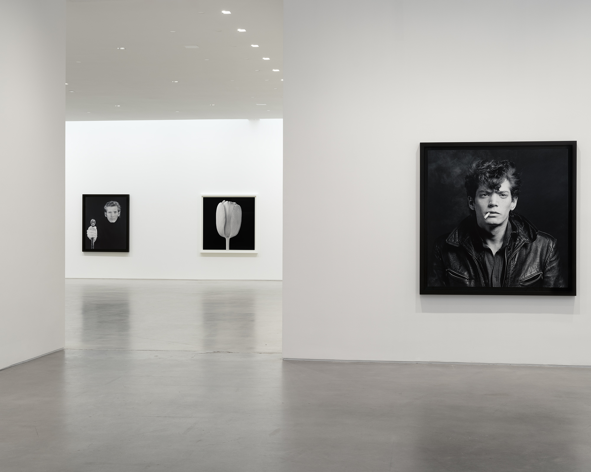 Robert Mapplethorpe, image 3 of 7