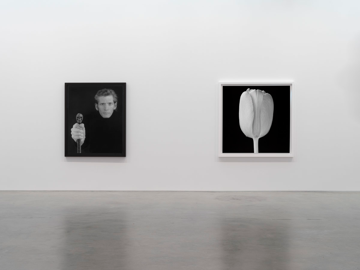 Robert Mapplethorpe, image 4 of 7