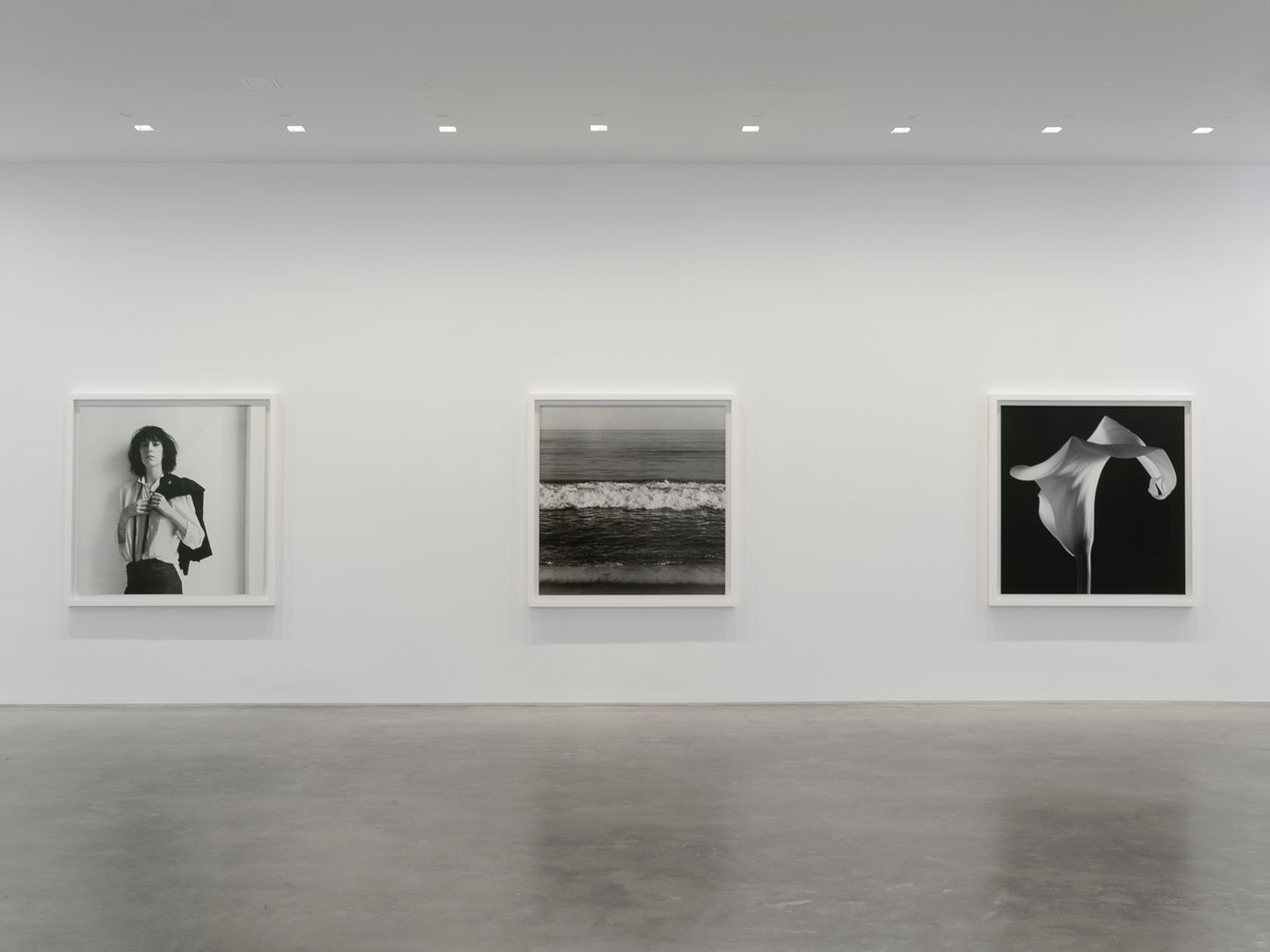 Robert Mapplethorpe, image 5 of 7