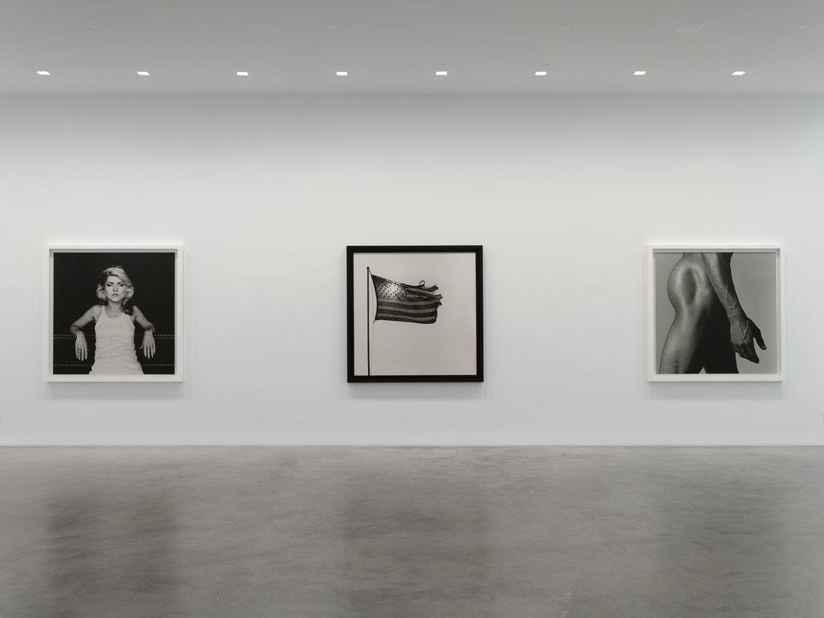 Robert Mapplethorpe, image 7 of 7