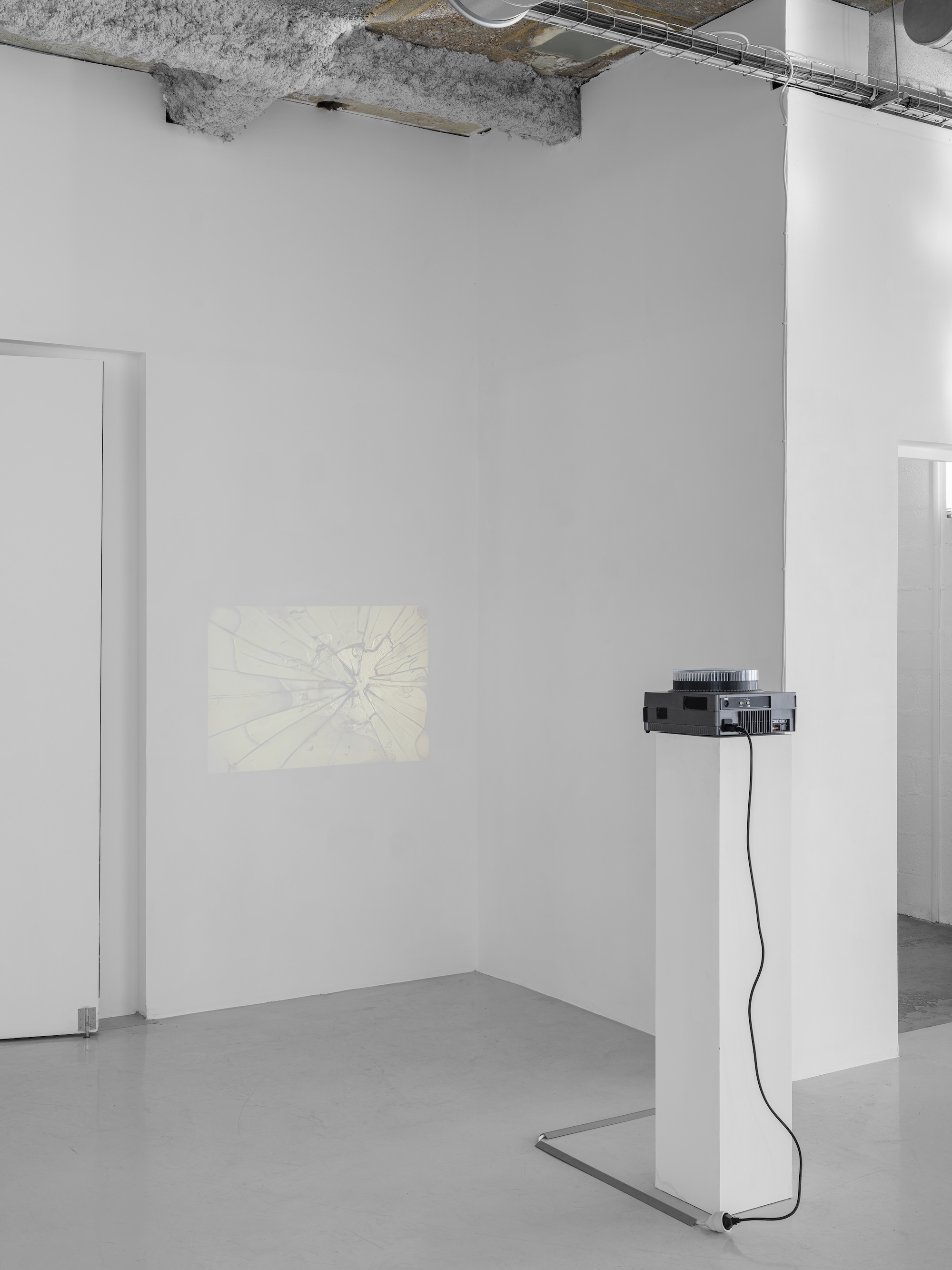 Michelle Blade, Michelle Blade at Massimo De Carlo Pièce Unique, photo 19