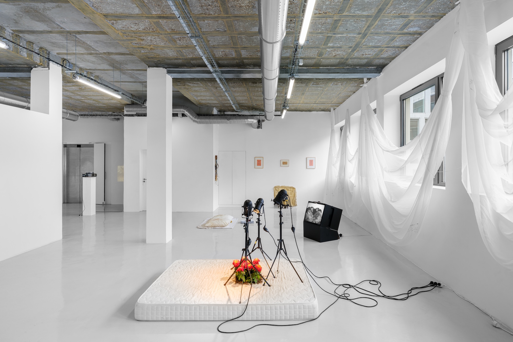 Michelle Blade, Michelle Blade at Massimo De Carlo Pièce Unique, photo 6