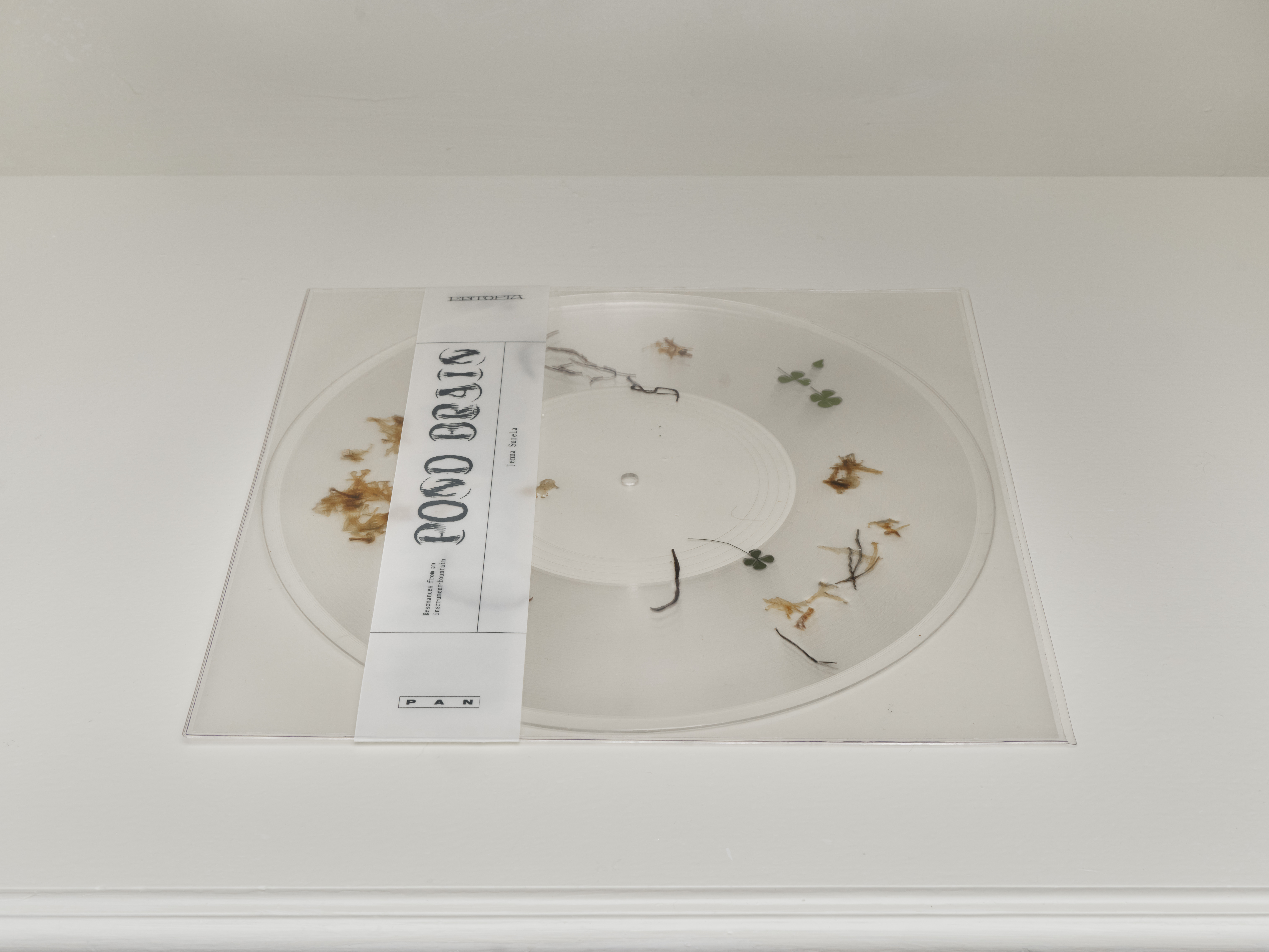 Jenna Sutela, With Each Cycle, a Brain at Nicoletta Fiorucci Foundation, photo 4