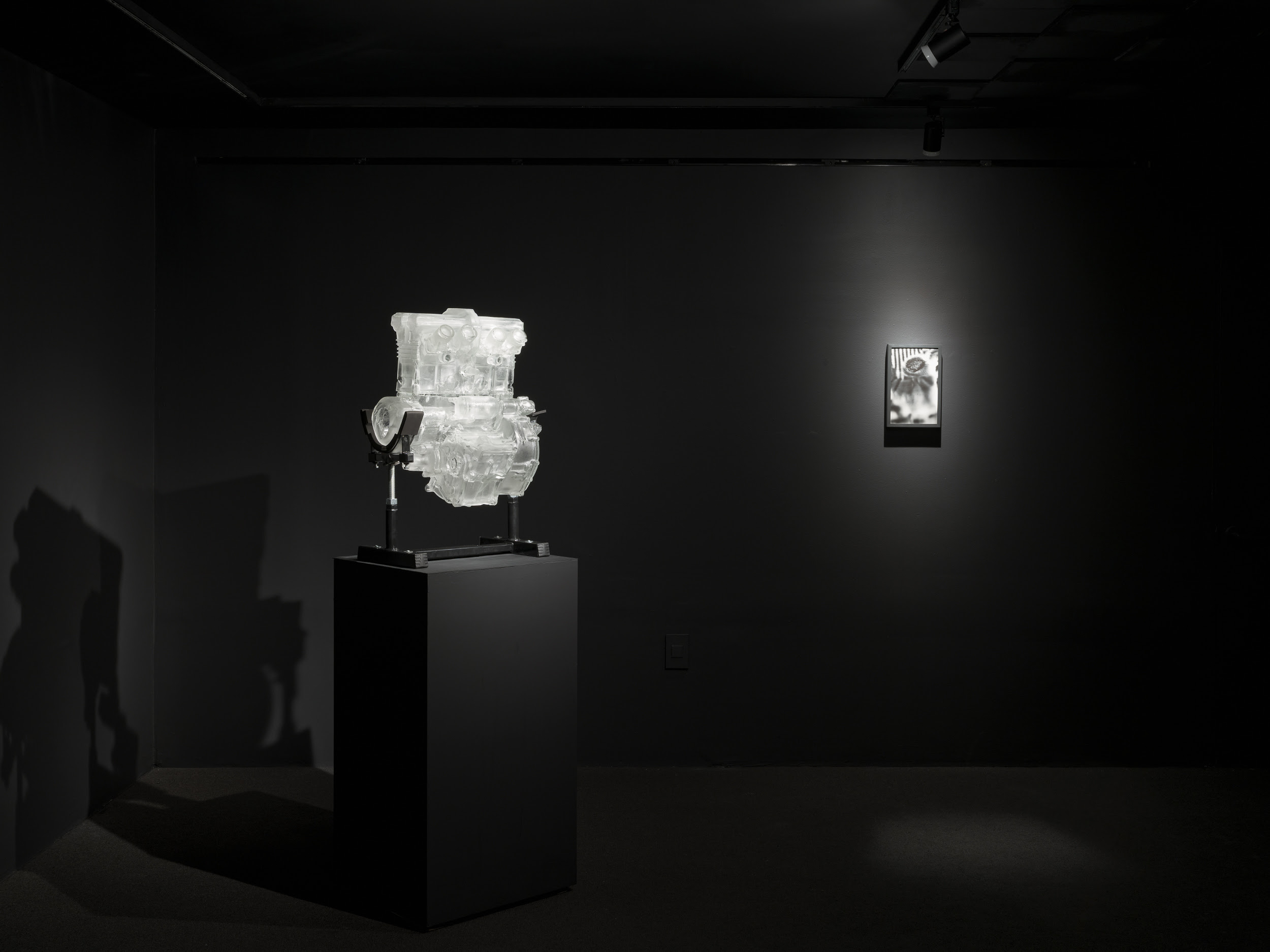 Dean Erdmann, Vitrum at Company, photo 3